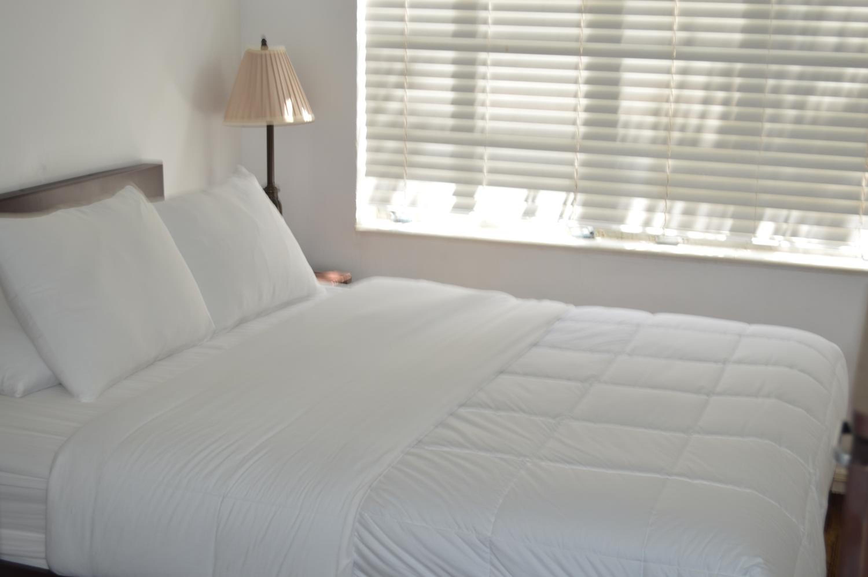 One-Bedroom Suite - Photo 9