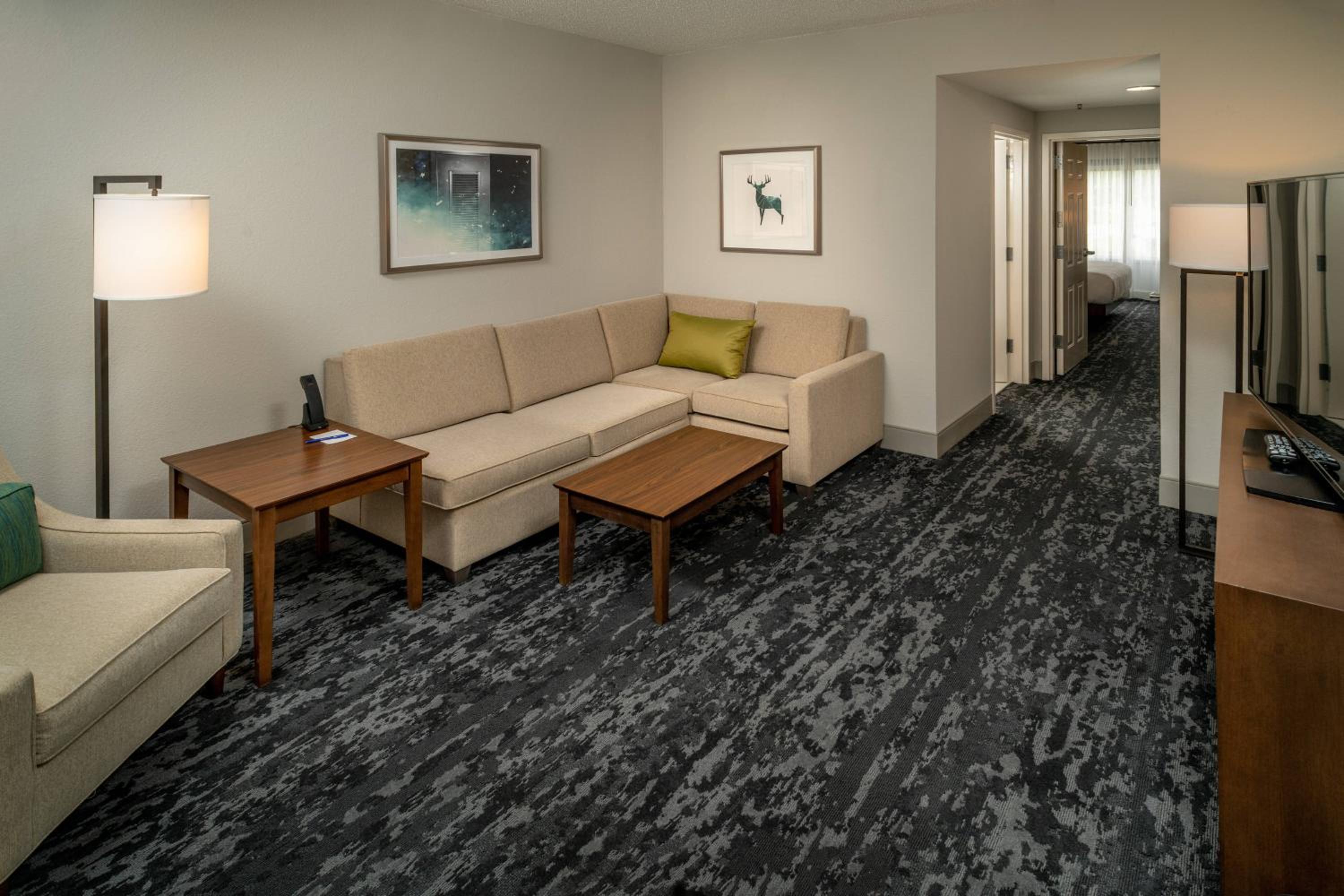 Executive Suite, 1 King, Sofa bed - Photo 1