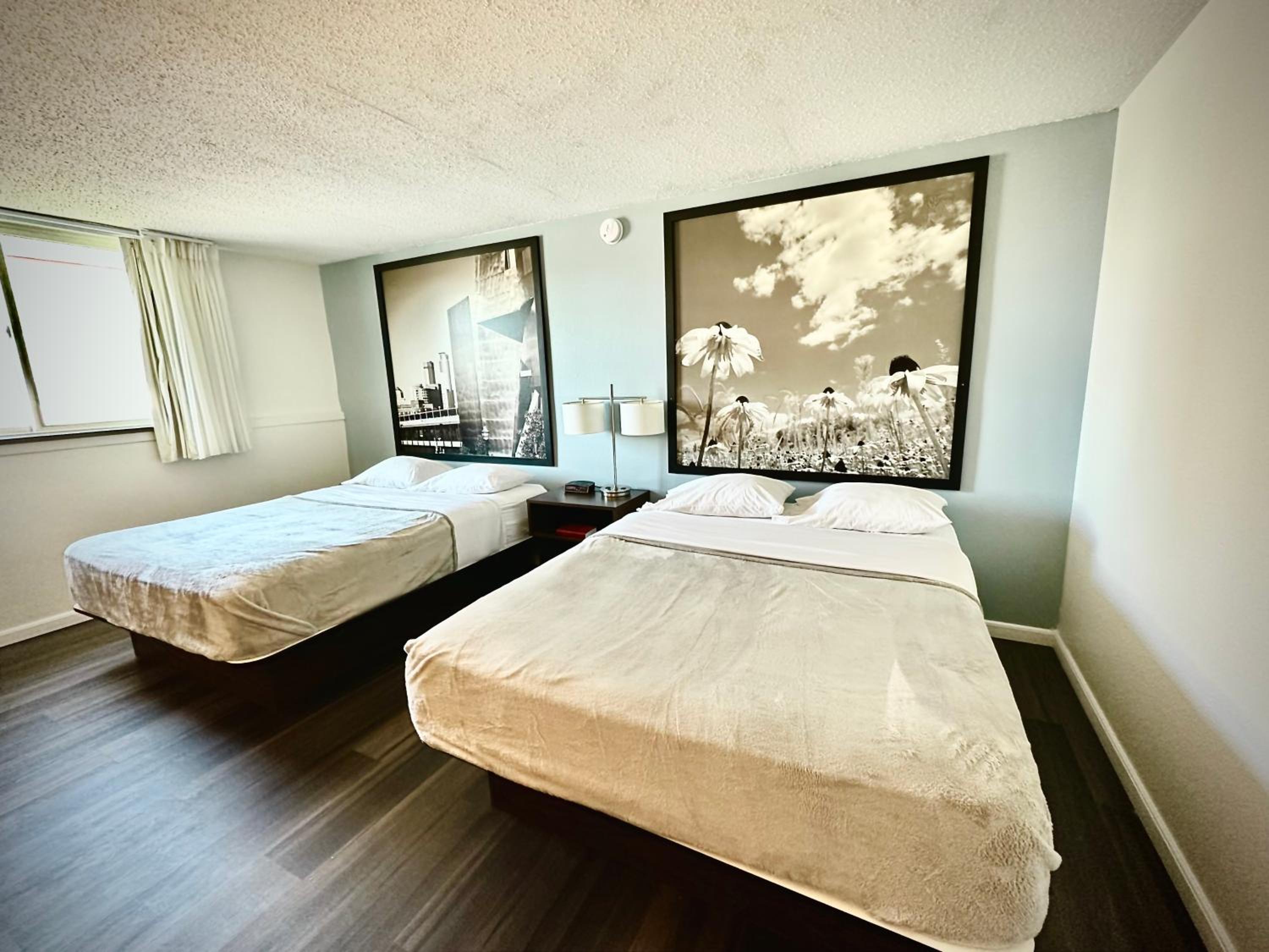 Standard Double Room - Photo 6