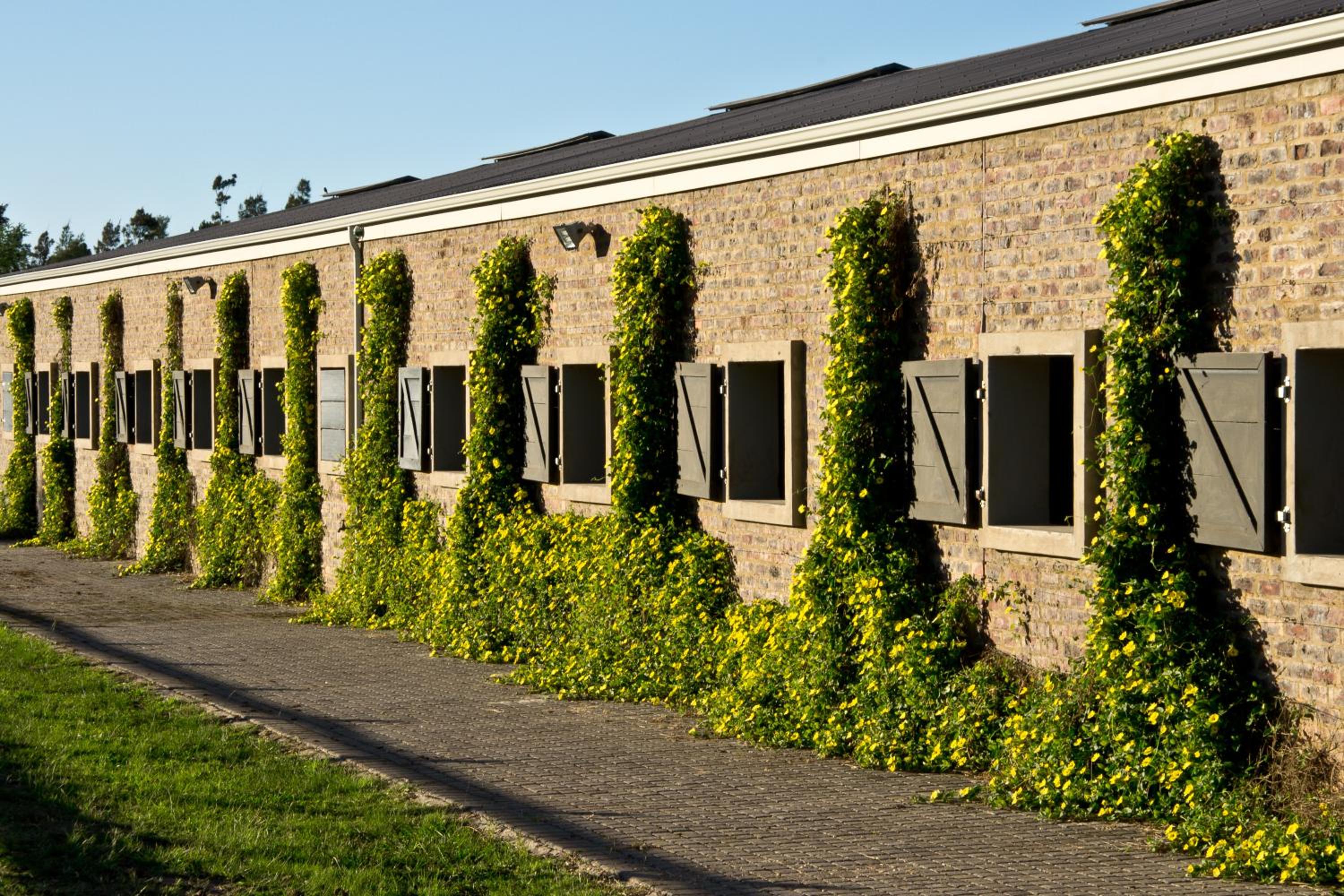 Villa photo 2