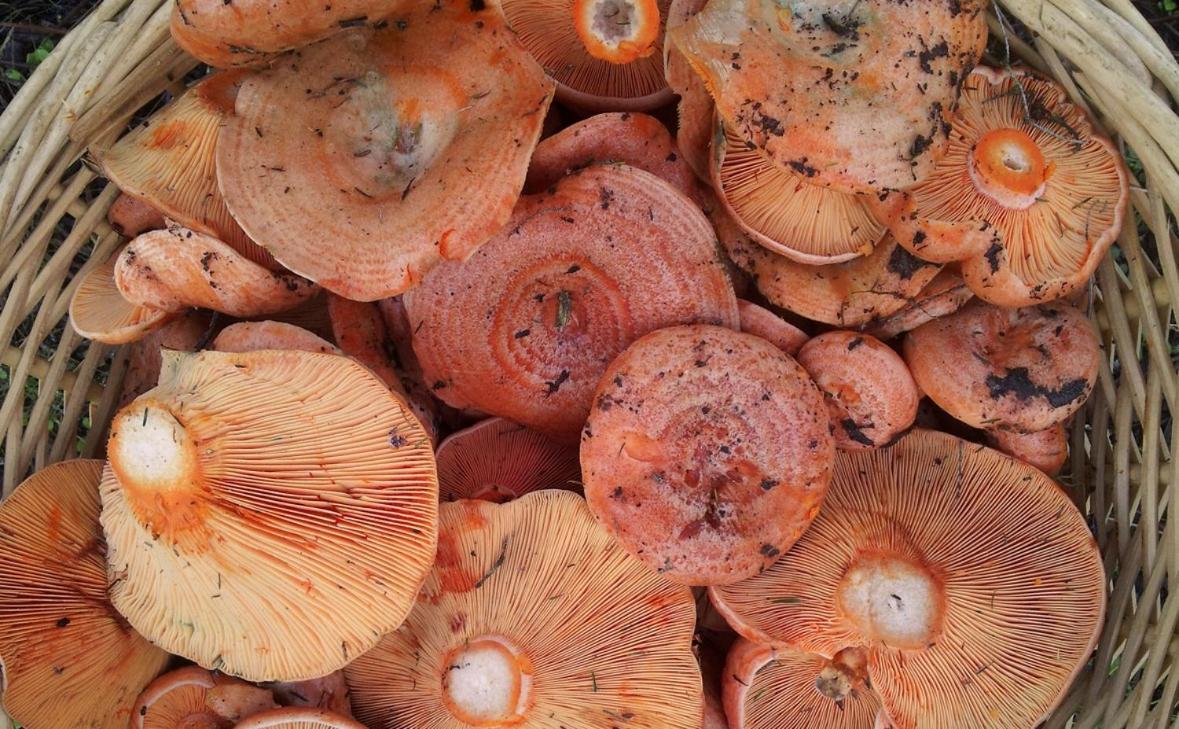 Two-Bedroom Chalet - Photo 16