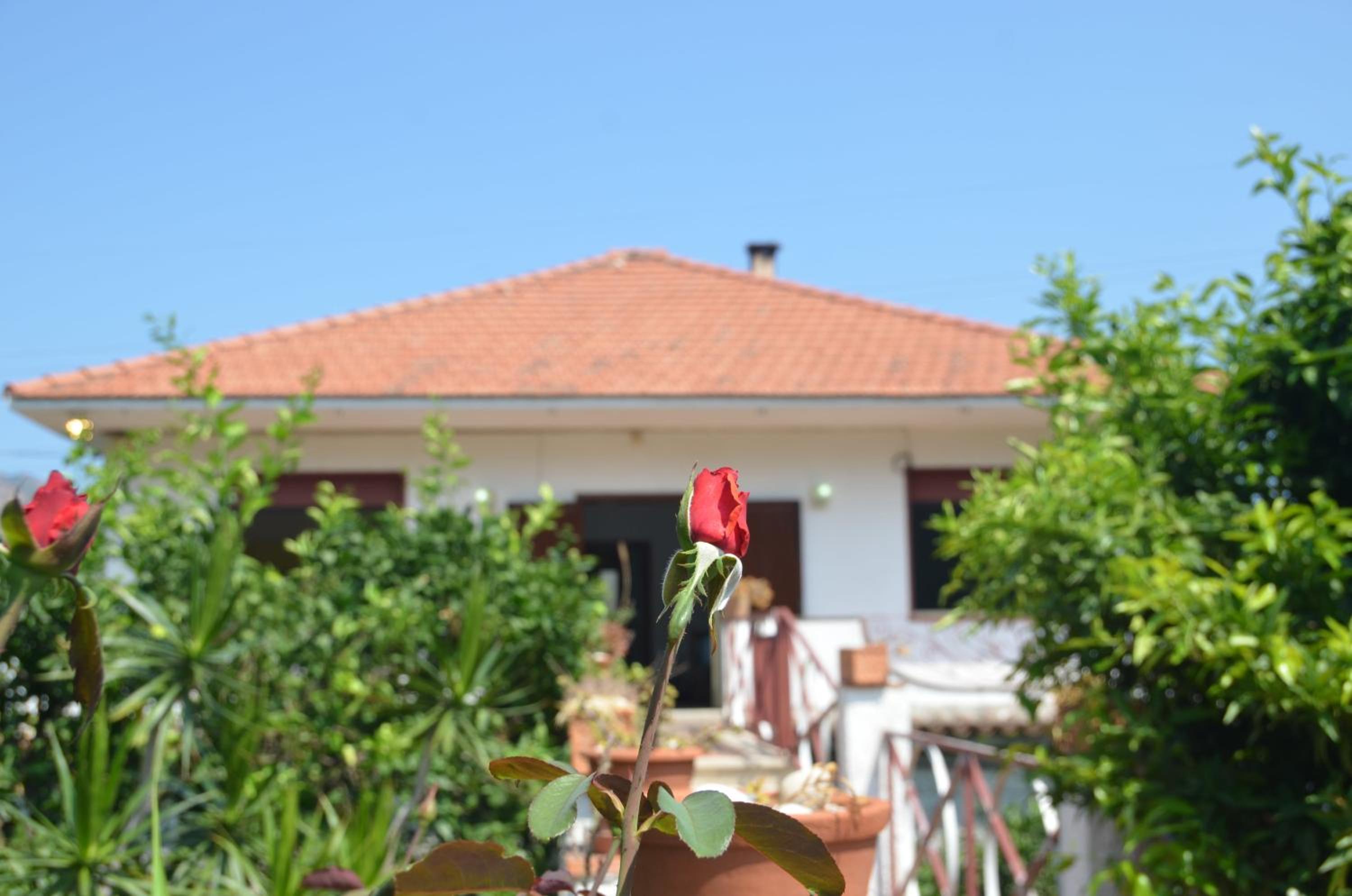 Superior Villa photo 2