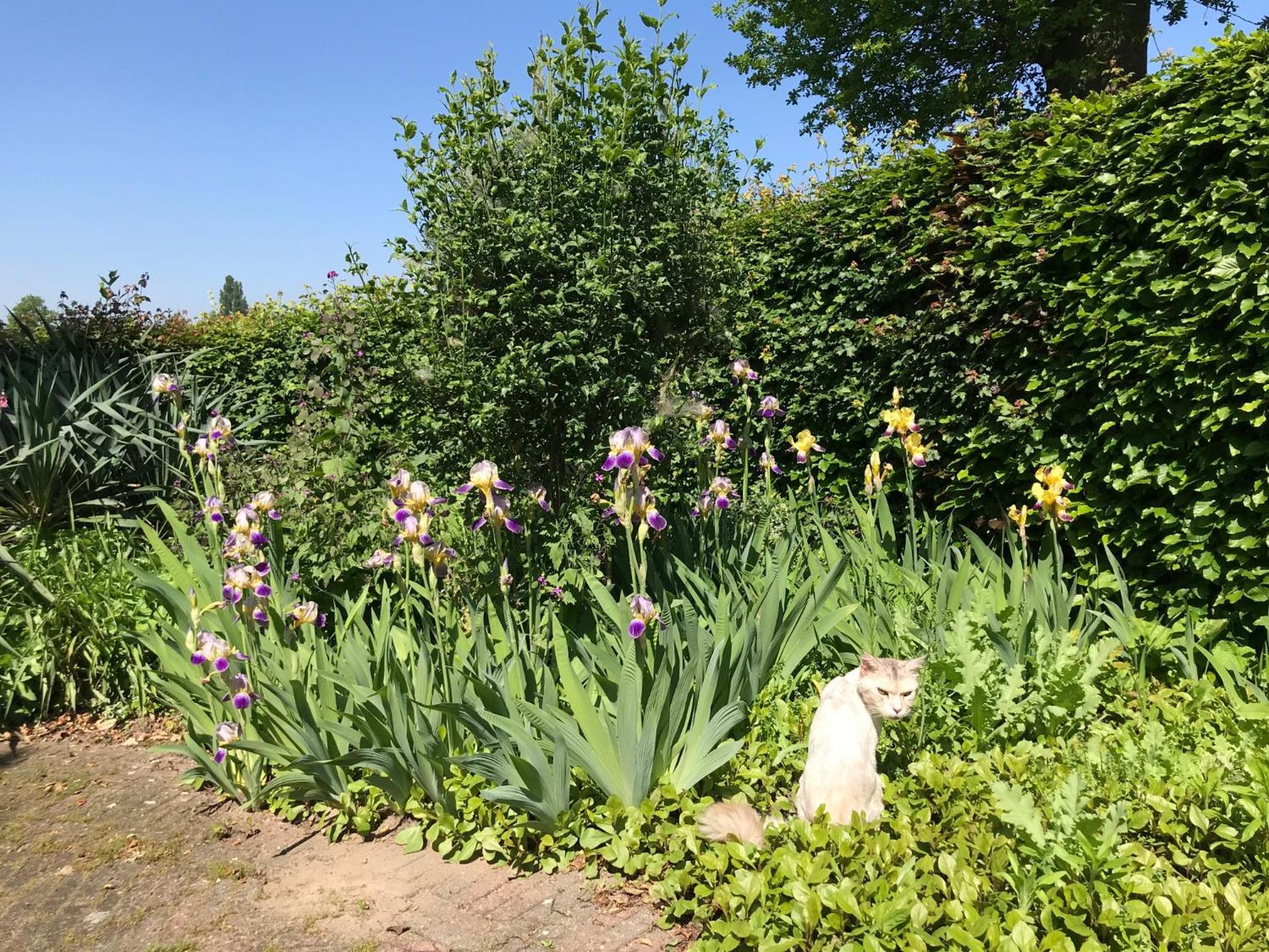 Holiday Home photo 3