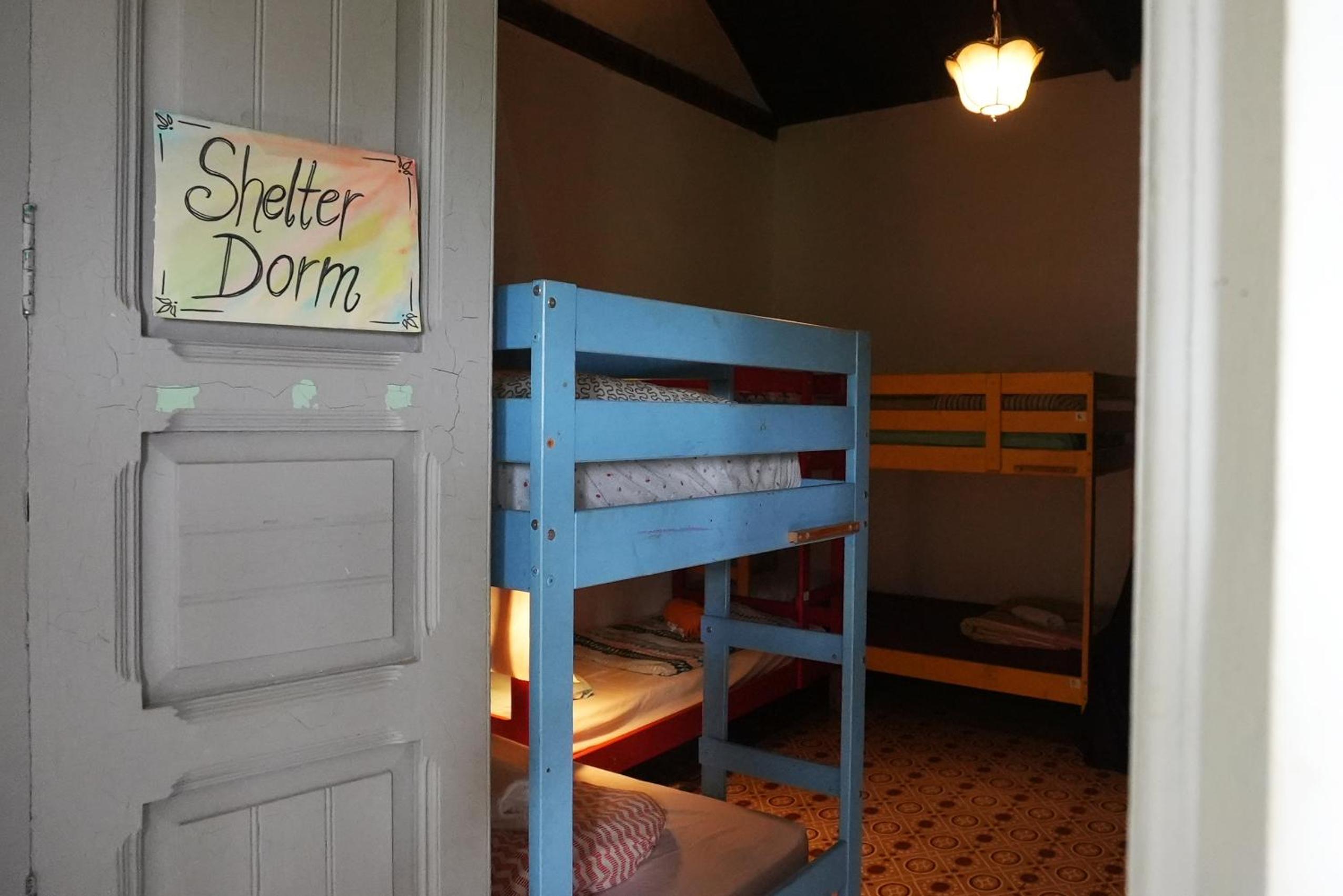 Bunk Bed in Mixed Dormitory Room photo 2