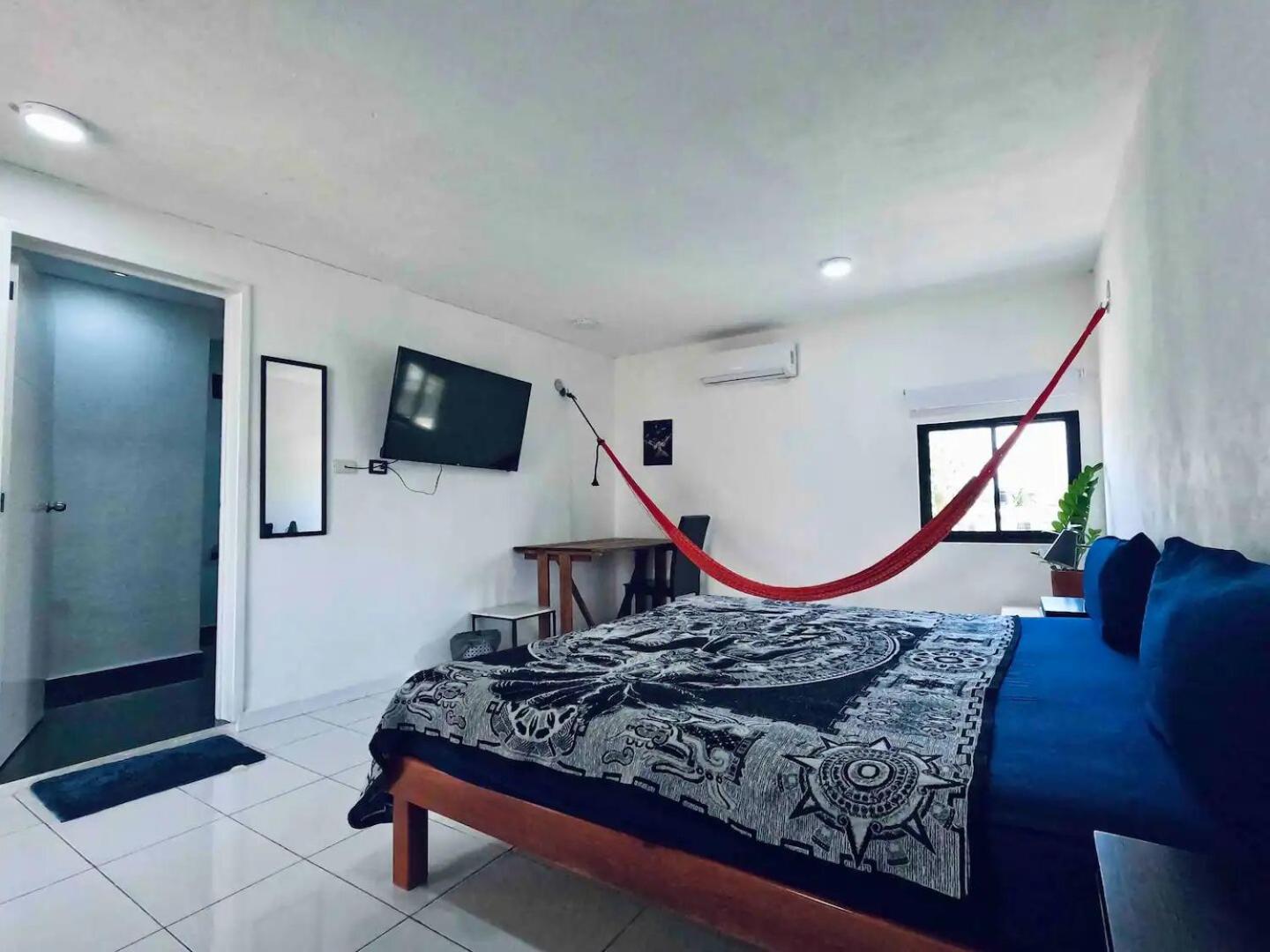 King Room photo 1