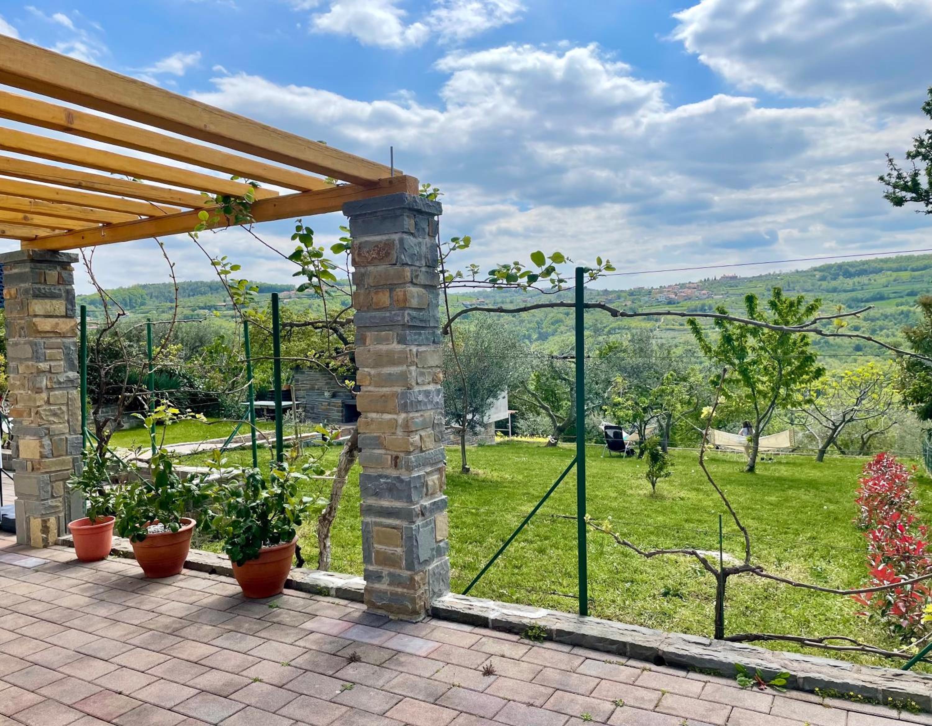 Apartment With Garden View photo 1