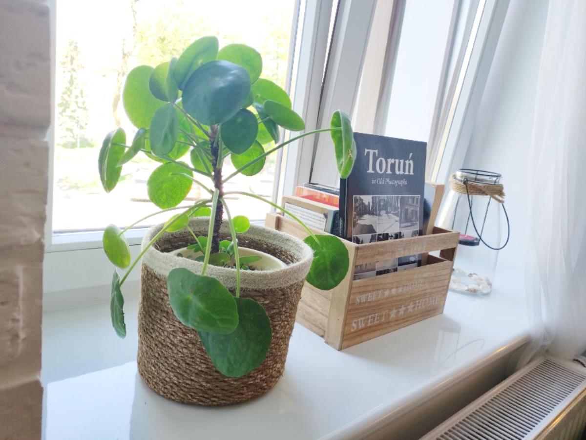 Apartment - Photo 17