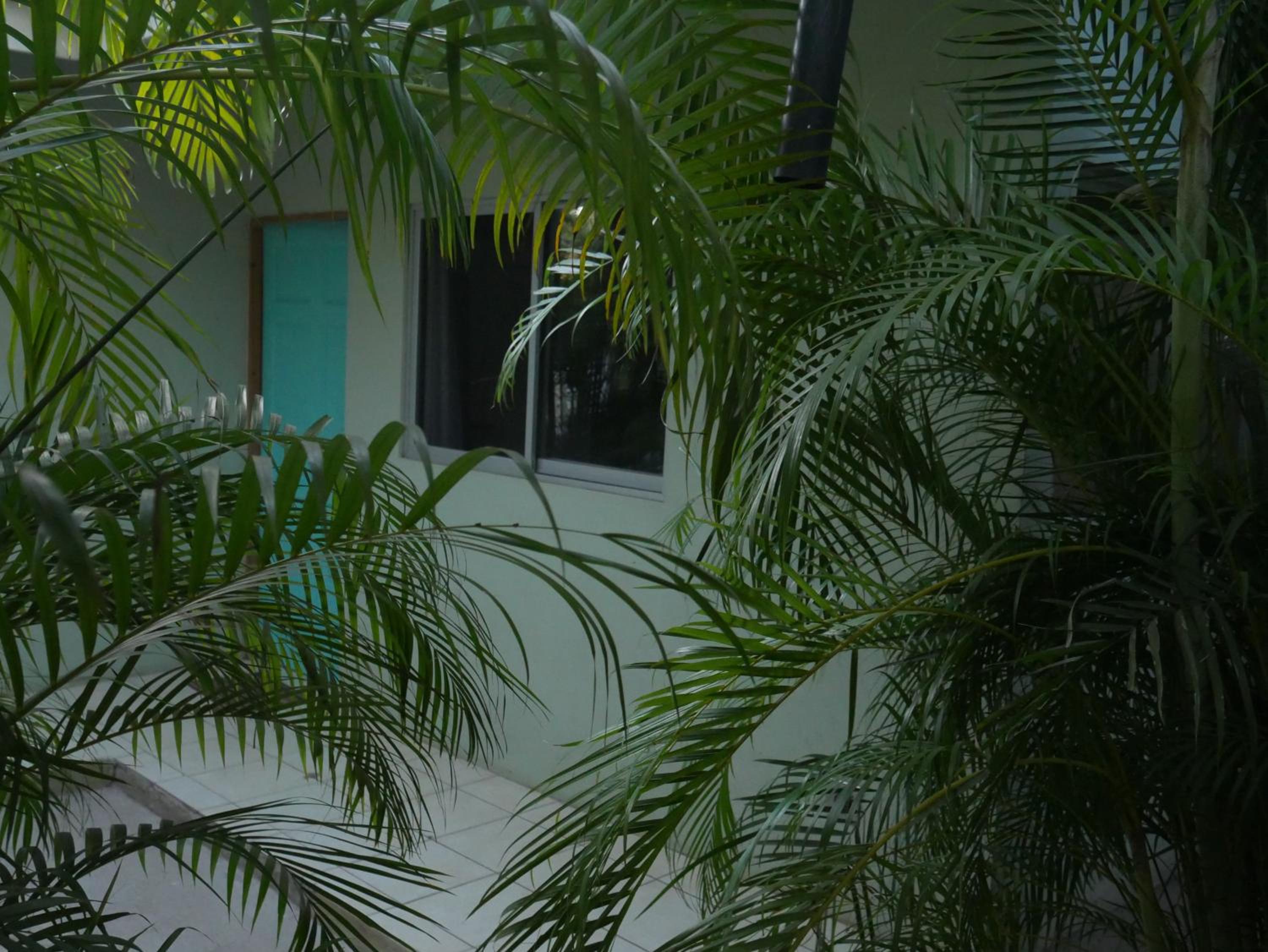 Apartment with Garden View
