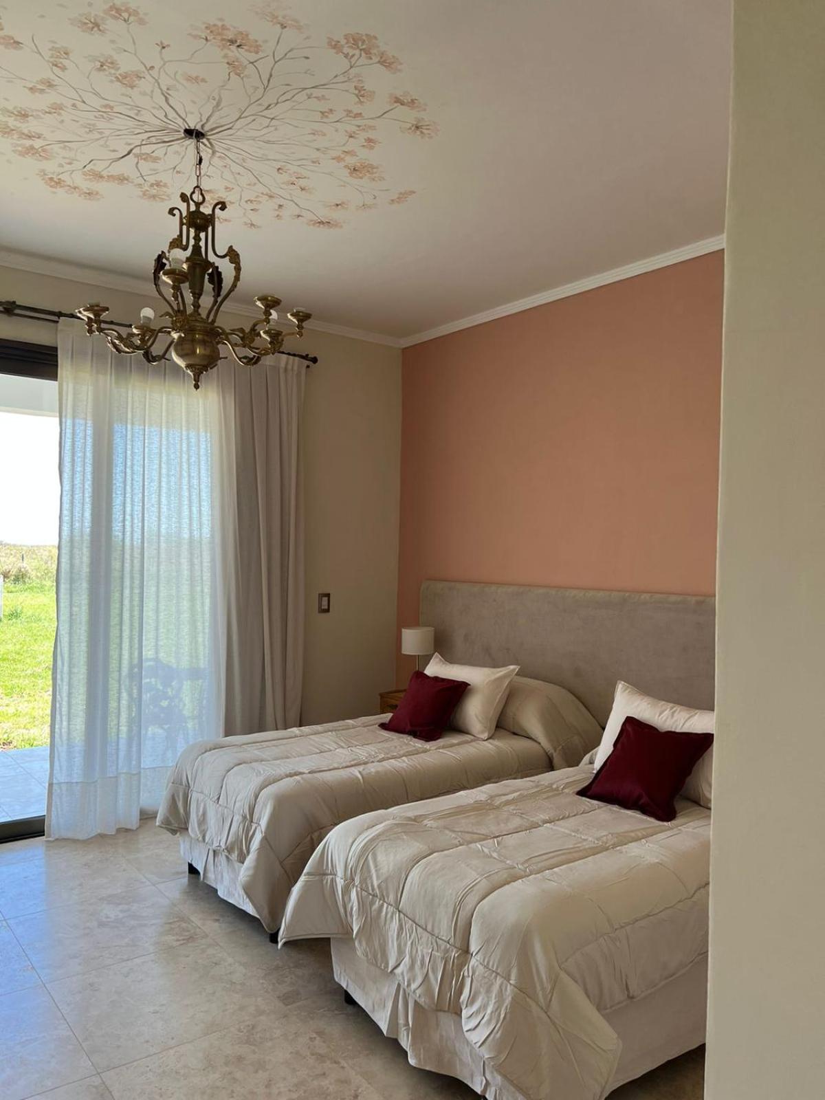 Superior Double or Twin Room photo 3