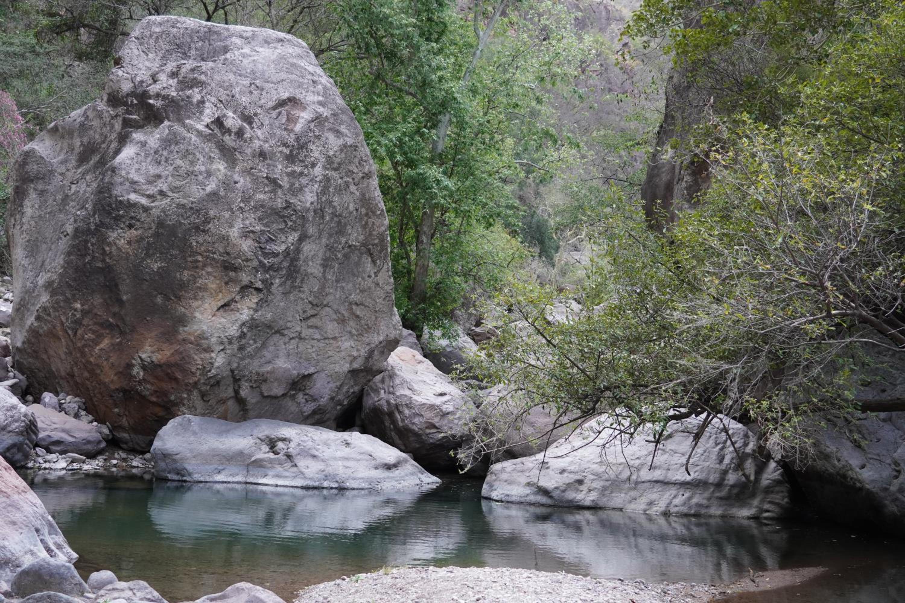 Triple Room - Photo 7