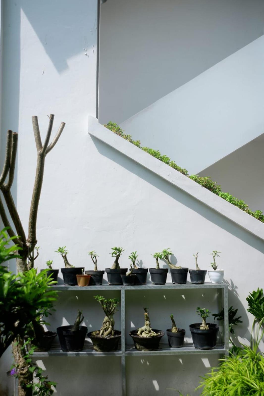 Queen Room with Garden View - Photo 8