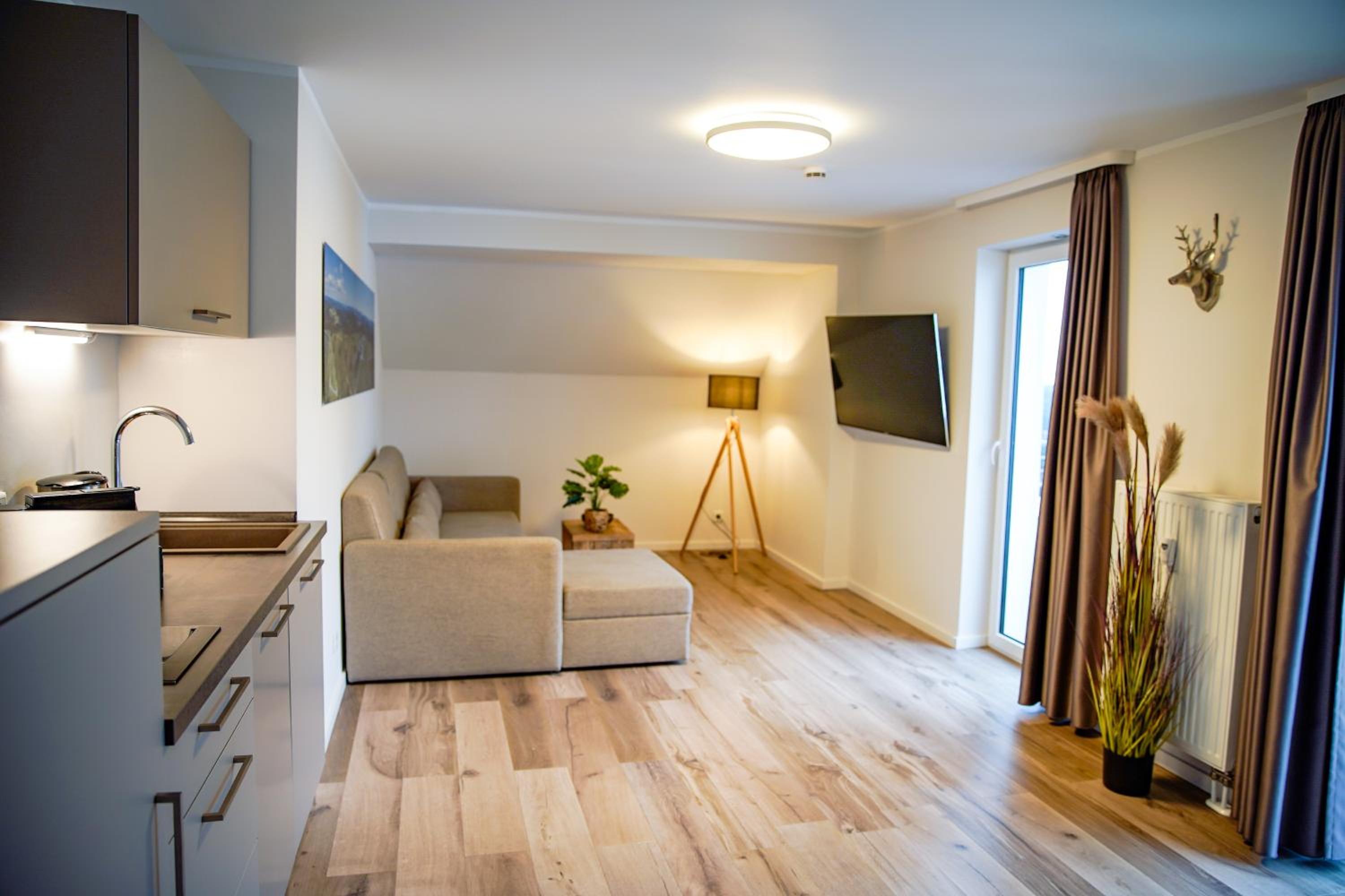 Apartment with Mountain View