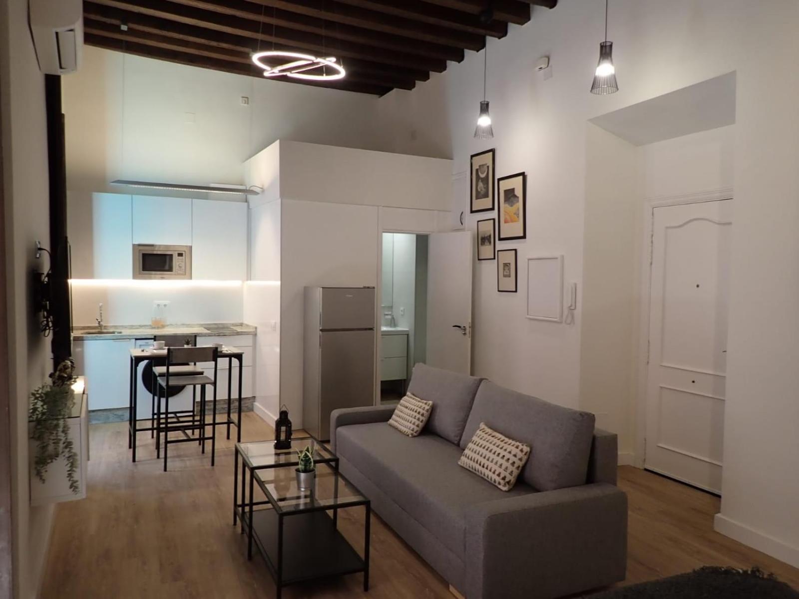 Apartamento de una habitación