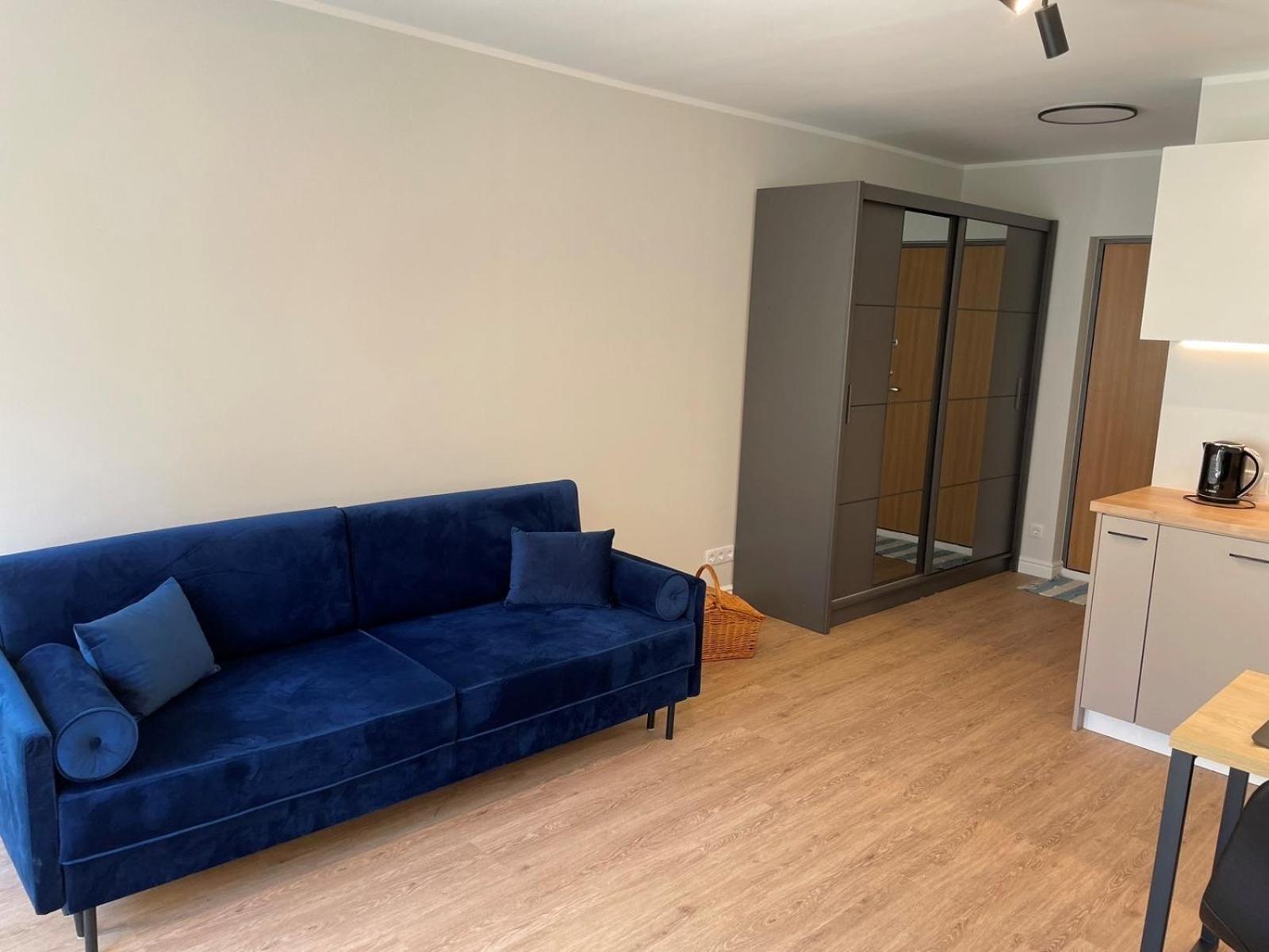 One-Bedroom Apartment photo 2