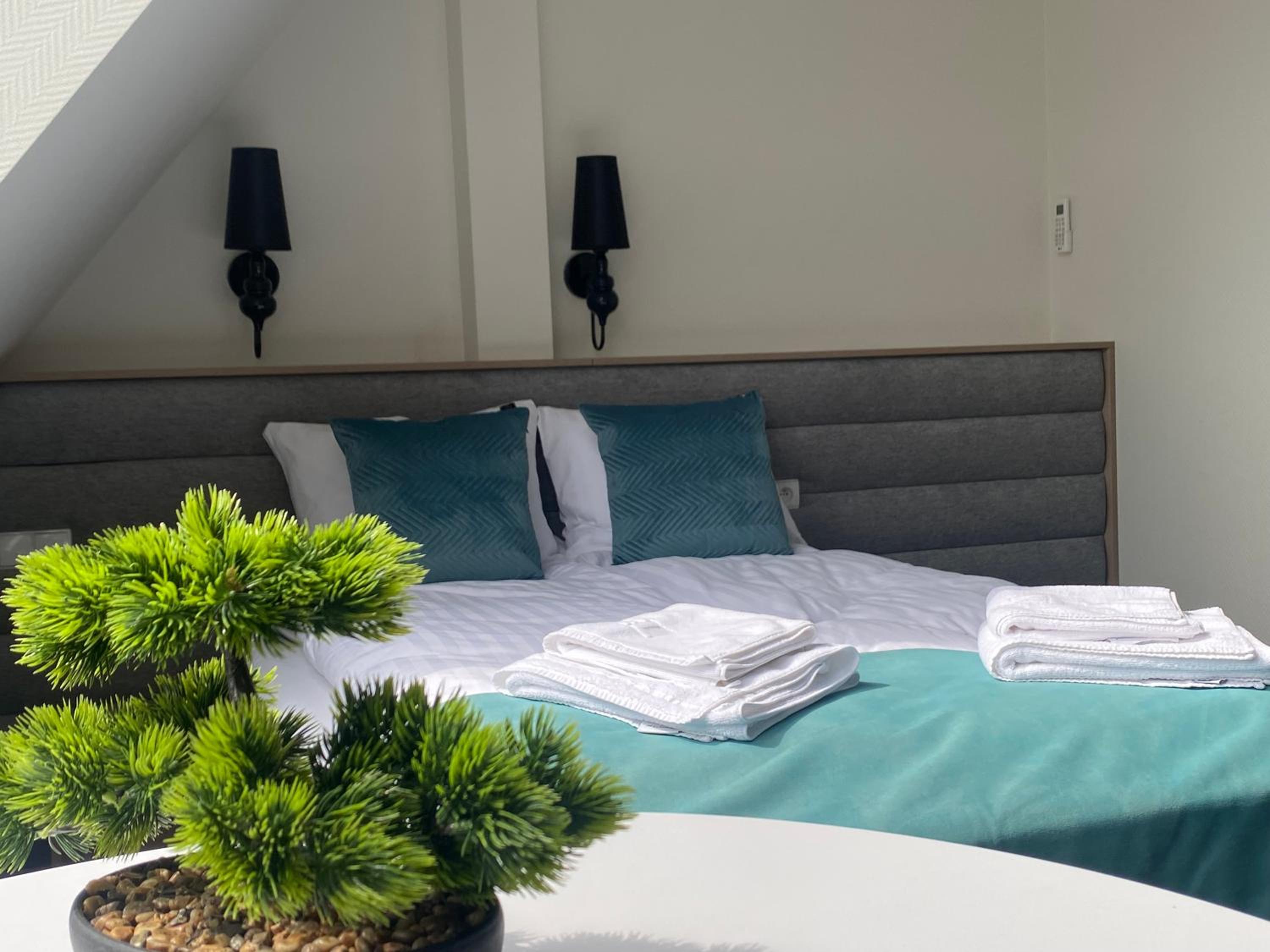 Studio Apartment - Photo 1