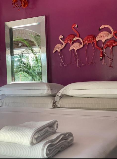 King Room with Spa Bath photo 2