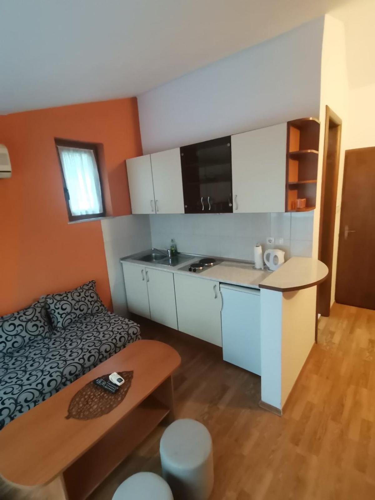 Apartment with Terrace photo 2