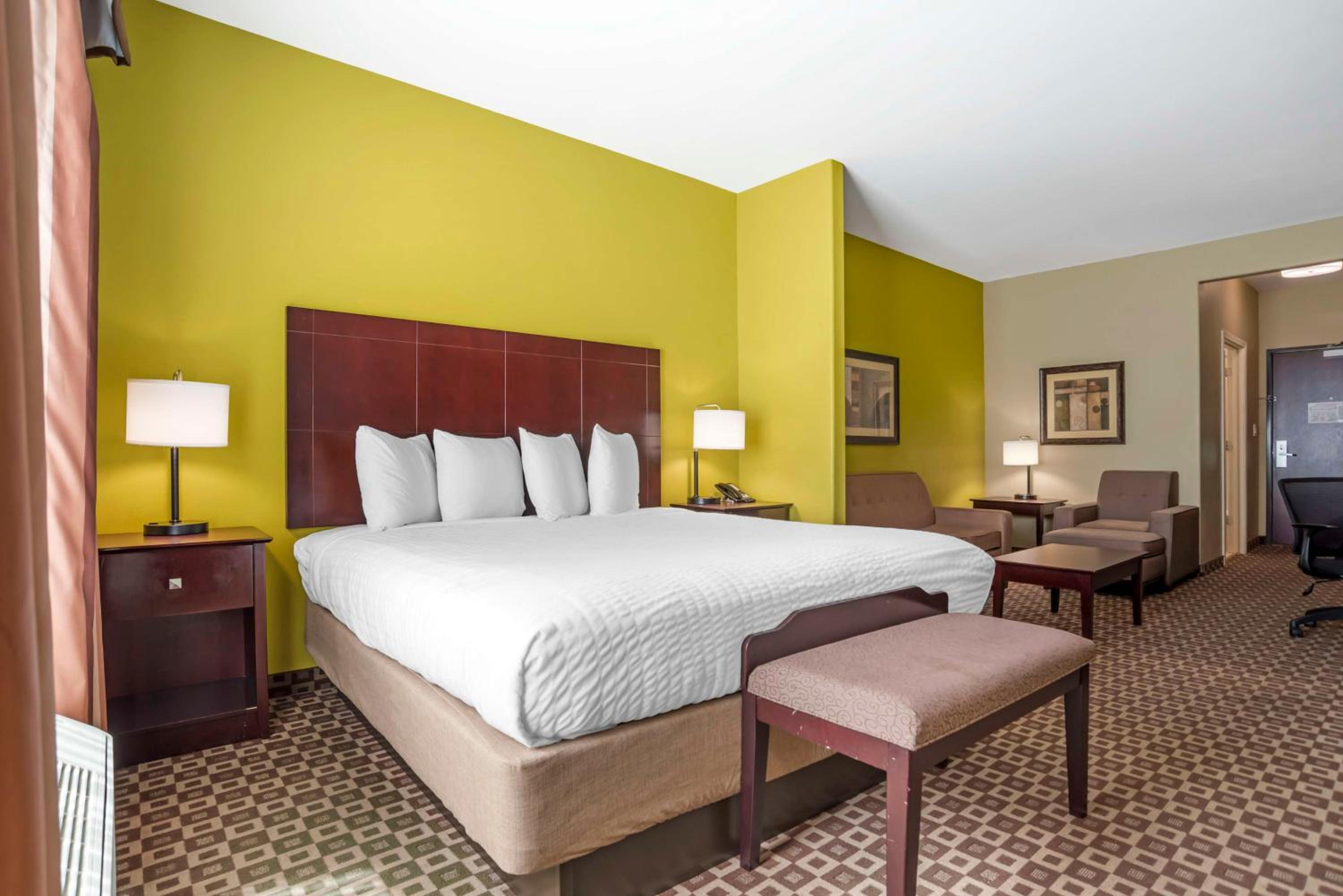 King Suite with Sofa Bed - Non-Smoking photo 2