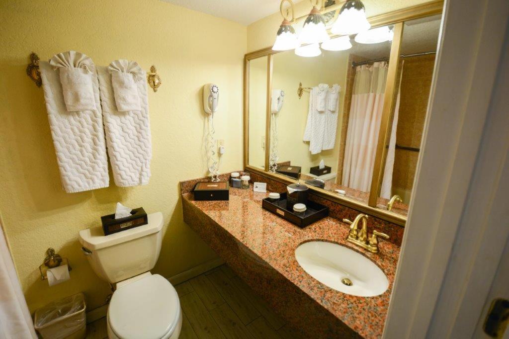 Double Room With Ocean View Balcony Handicap photo 3