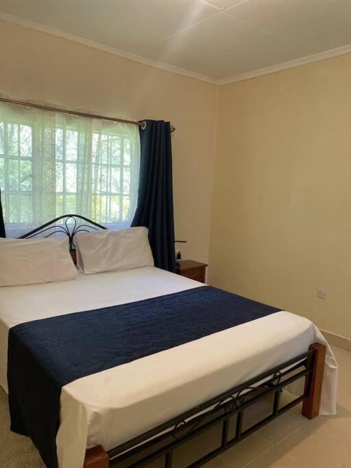 One-Bedroom House photo 2
