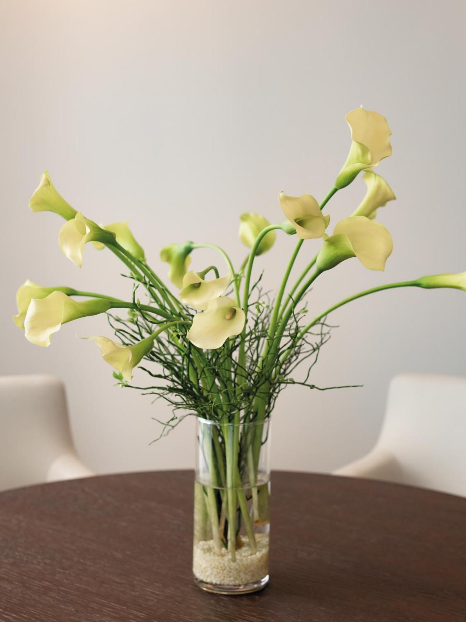 Suite - Photo 10