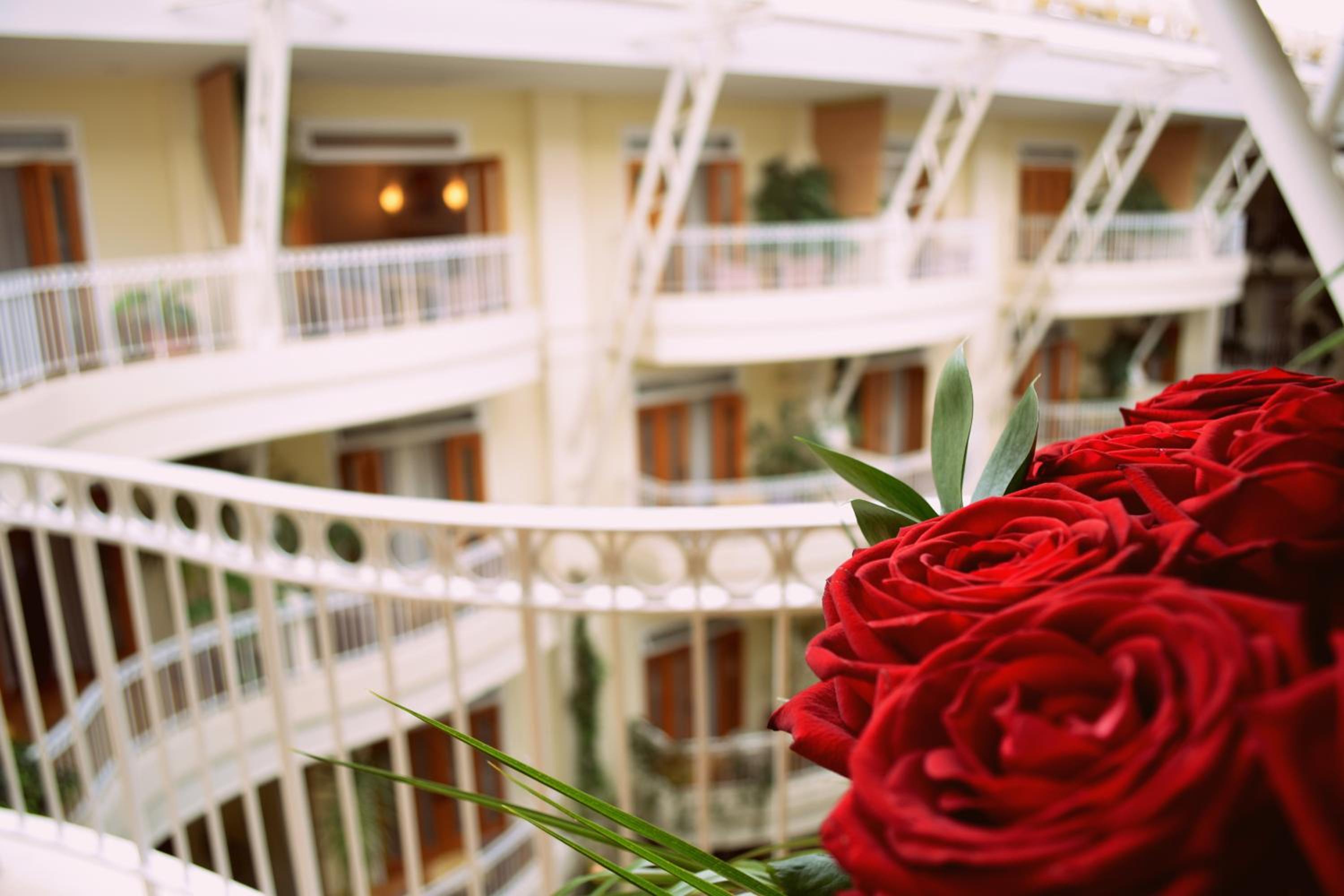 Double Atrium Room - Photo 2