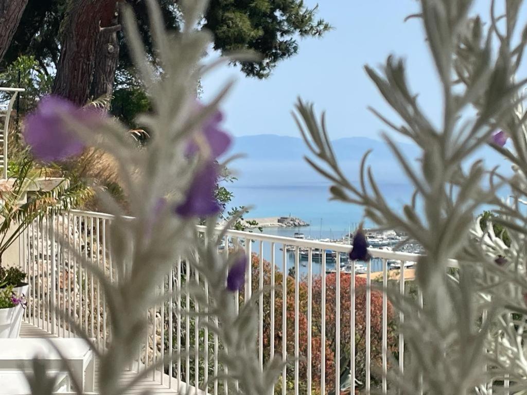 One-Bedroom Apartment with Sea View photo 2