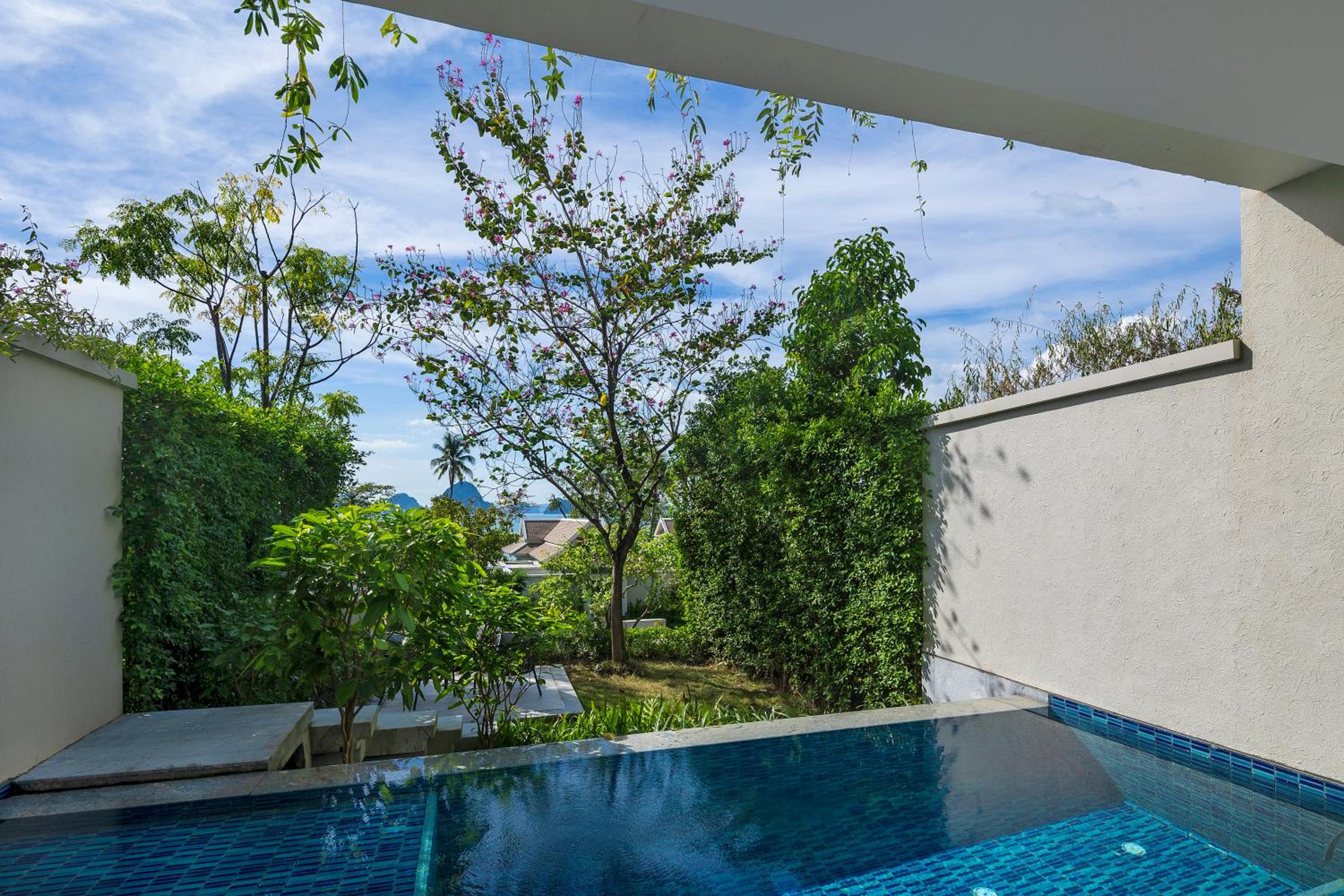 Deluxe Suite with One King Bed and Pool Access (Non Smoking) - Photo 4