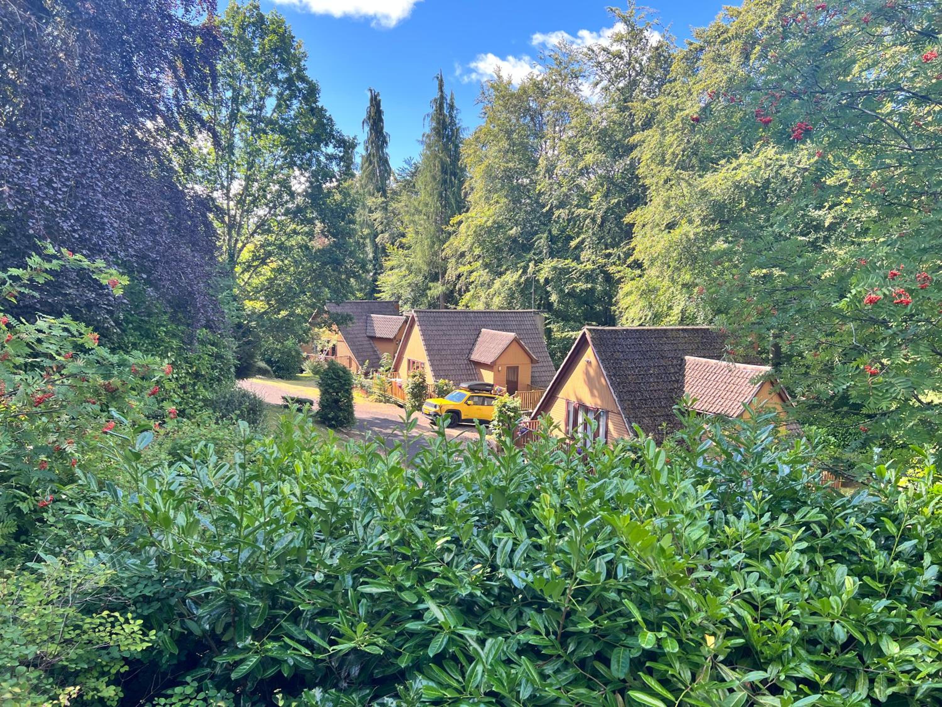 Chalet with Garden View photo 2
