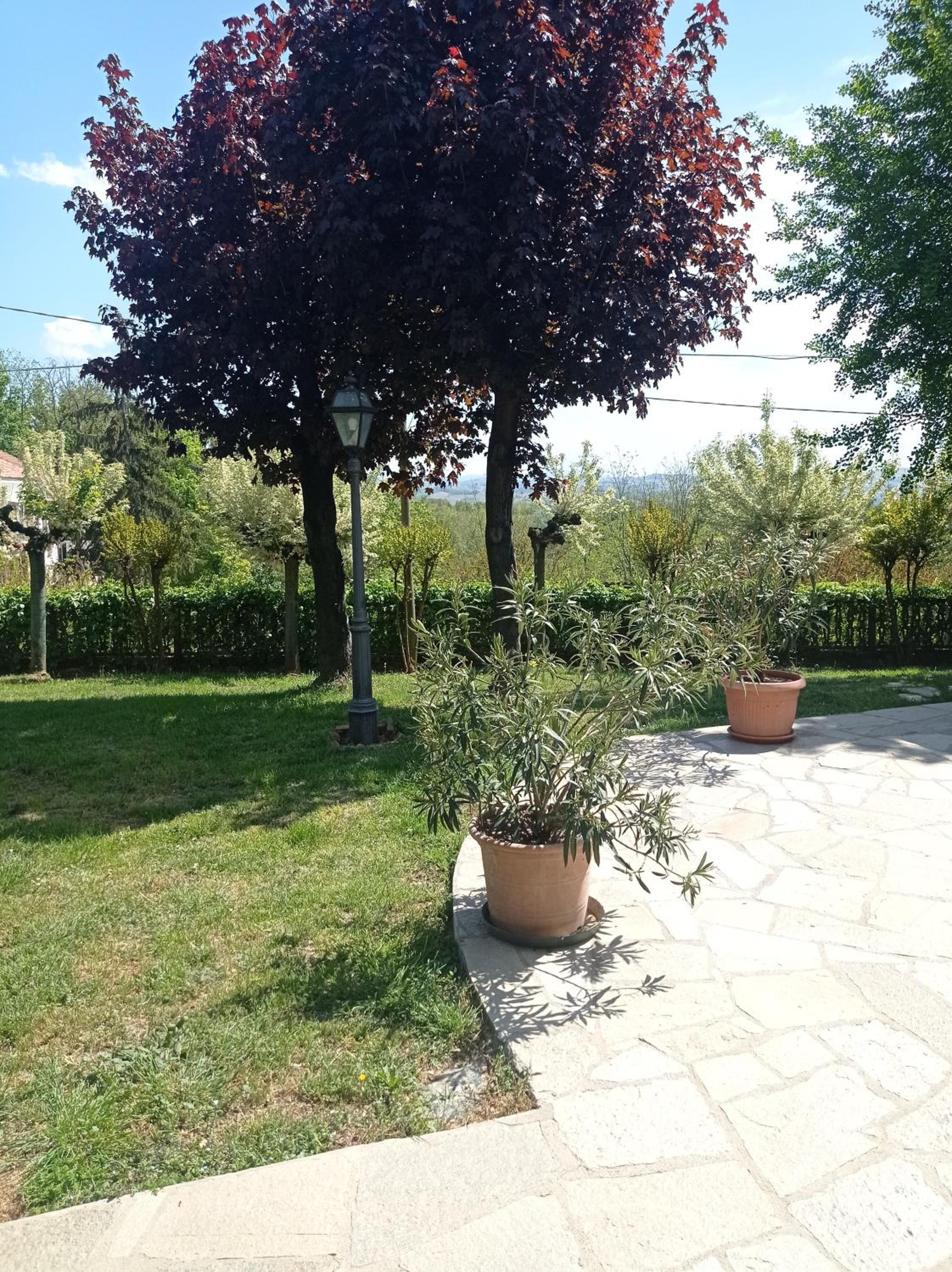 Apartment - Photo 9