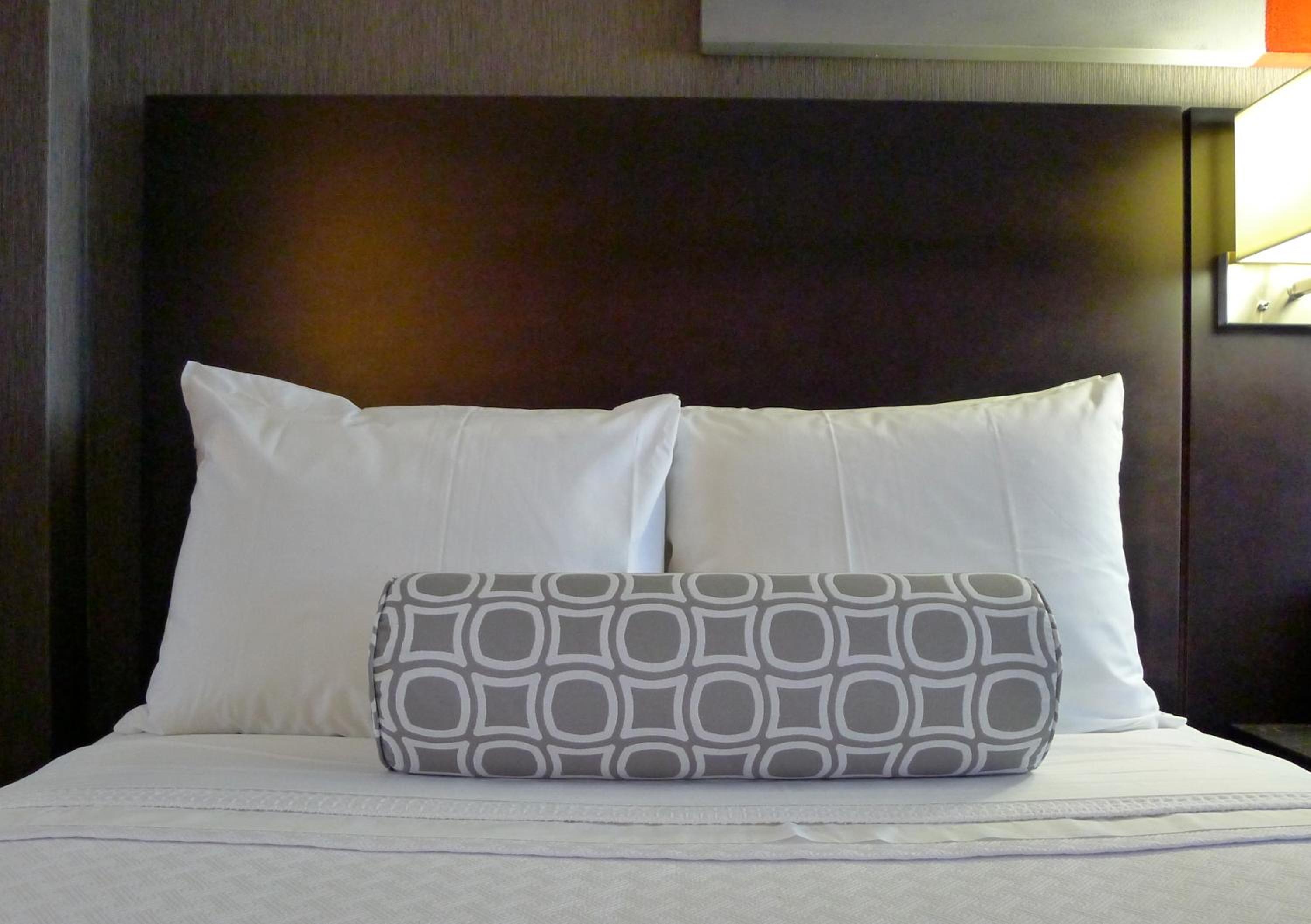 Queen Room With Roll-In Shower - Mobility/Hearing Accessible - Non-Smoking - Photo 2