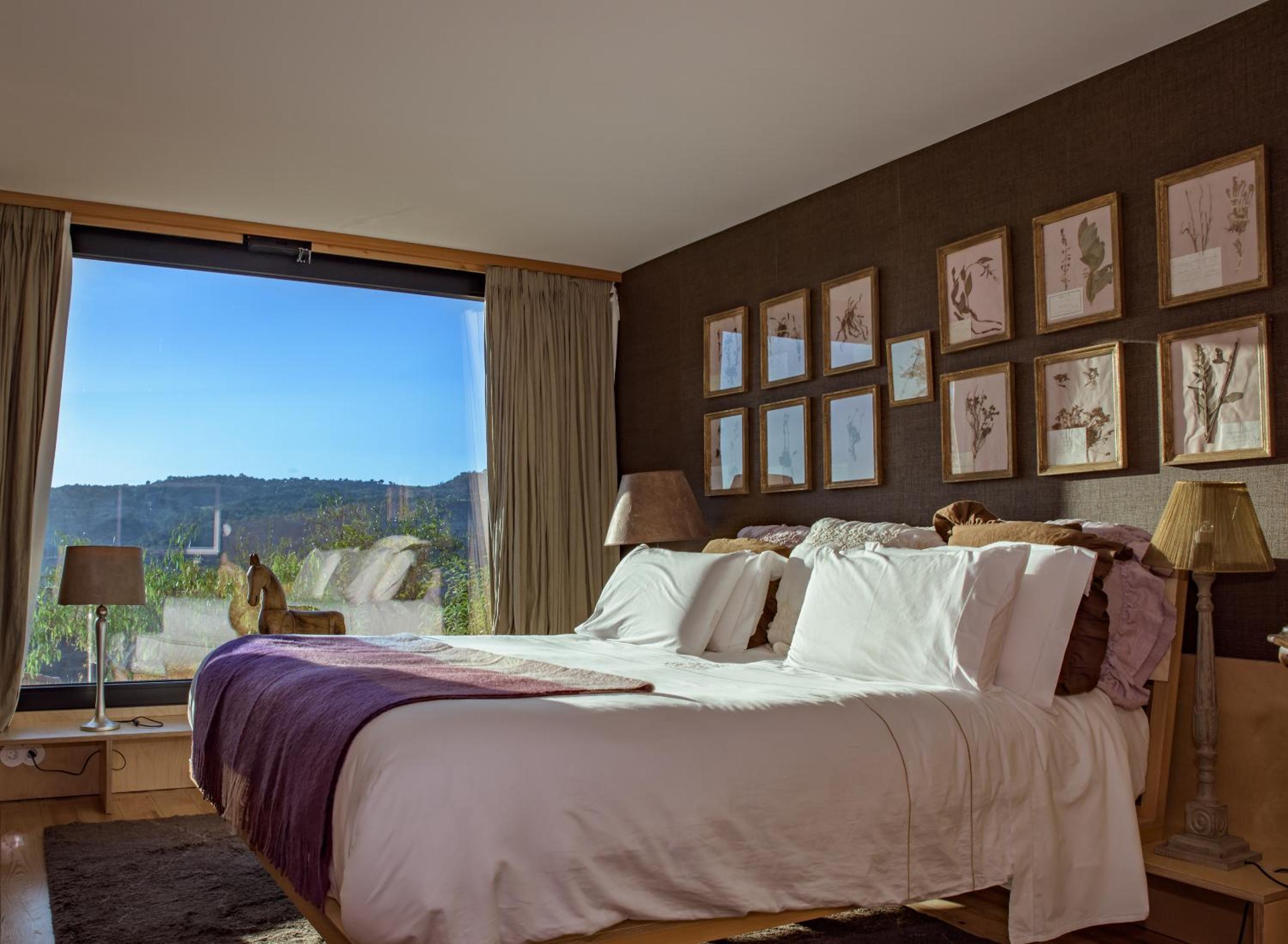 Suite - Photo 2