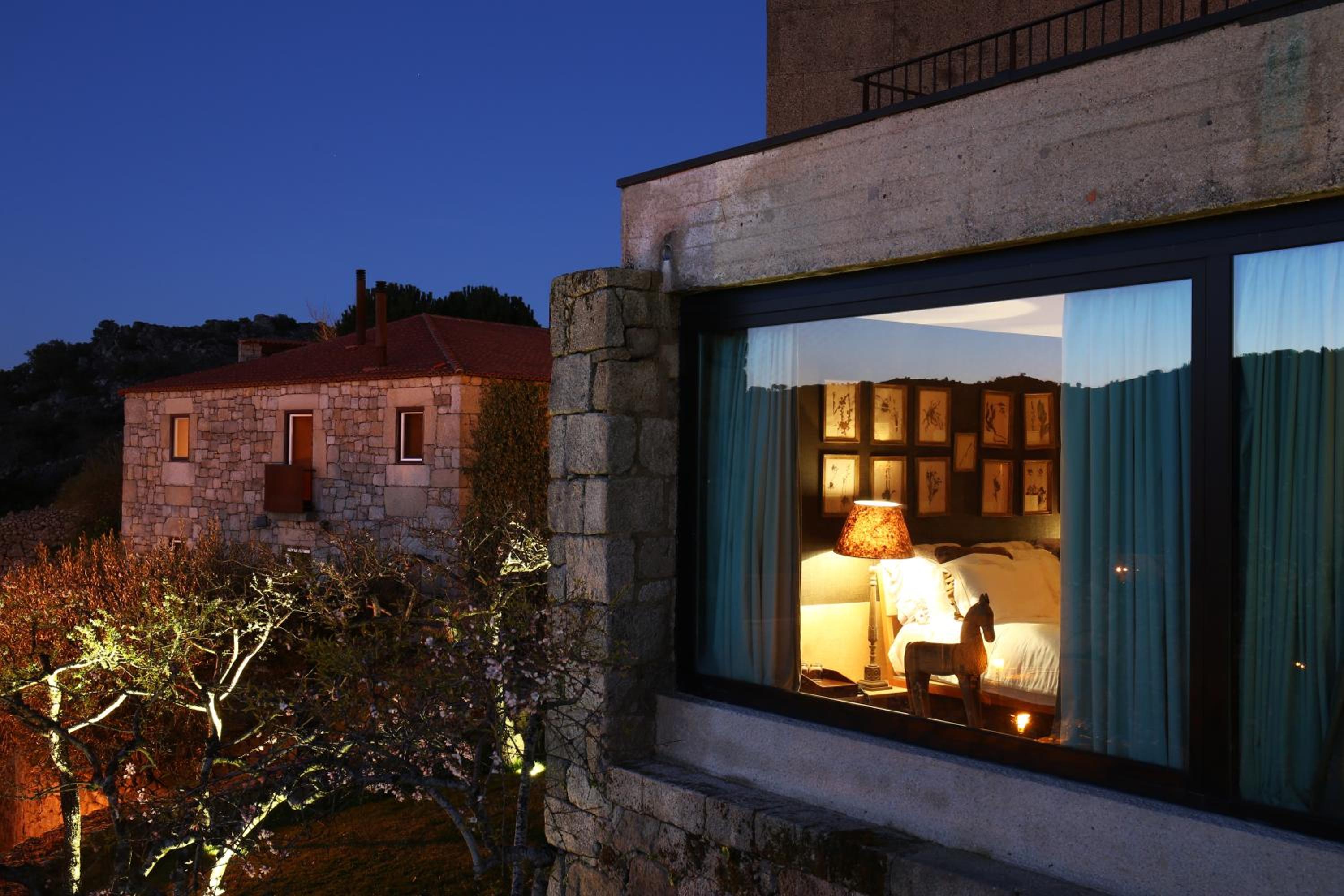 Suite - Photo 8