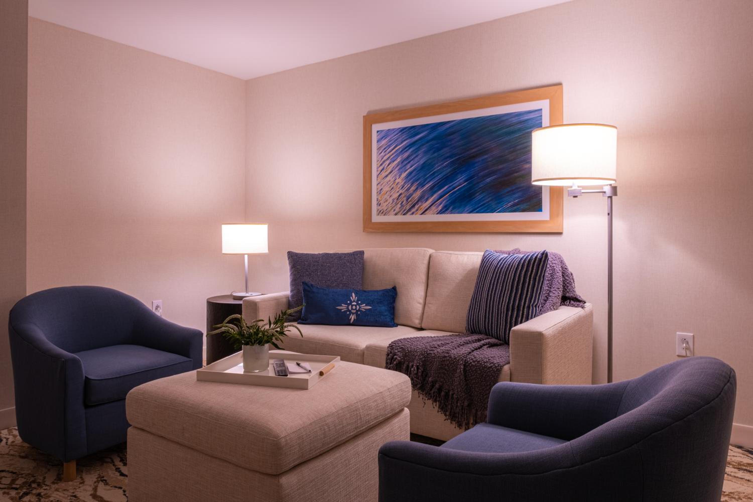 Deluxe King Suite