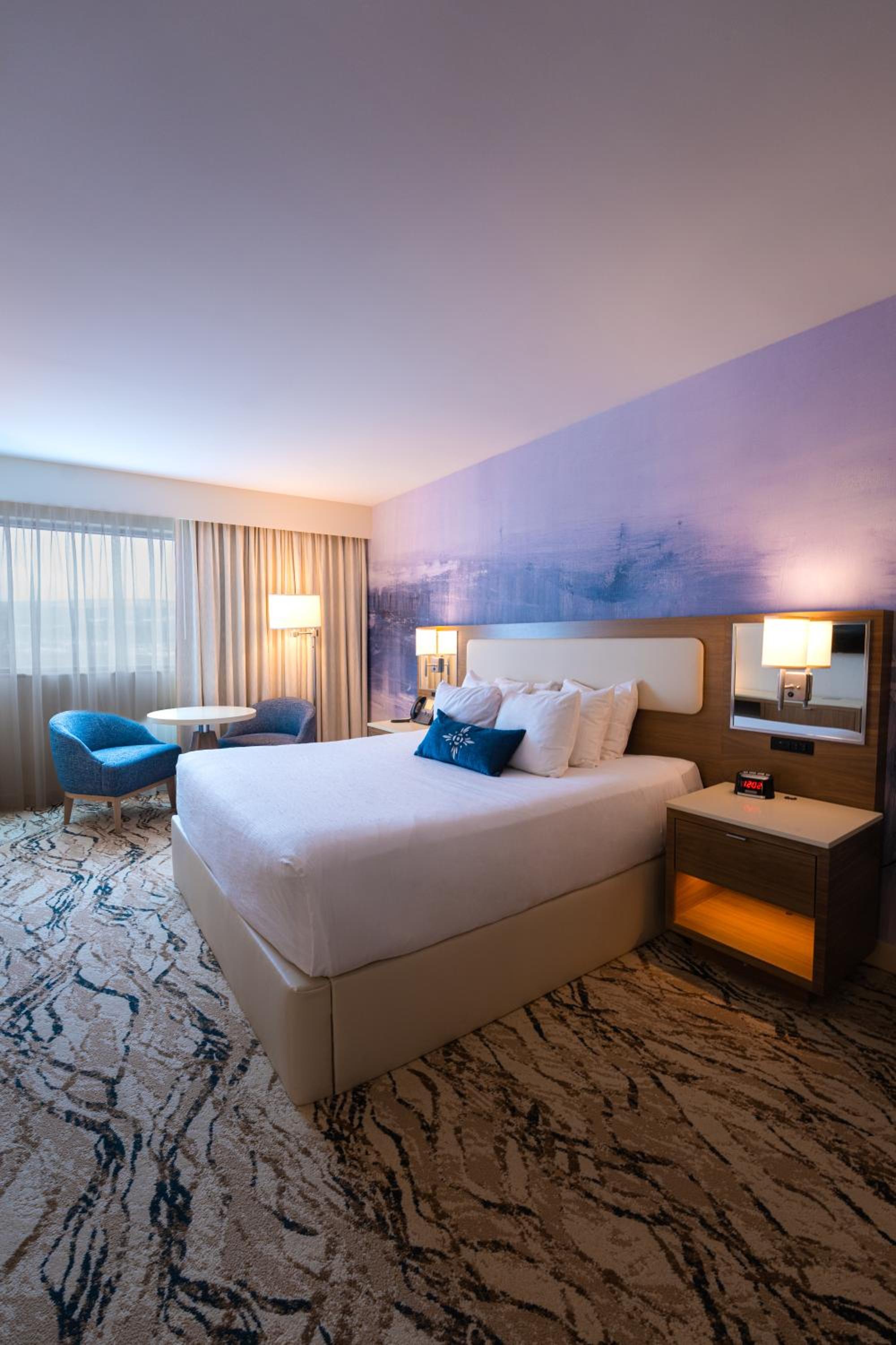 Deluxe King Suite photo 2