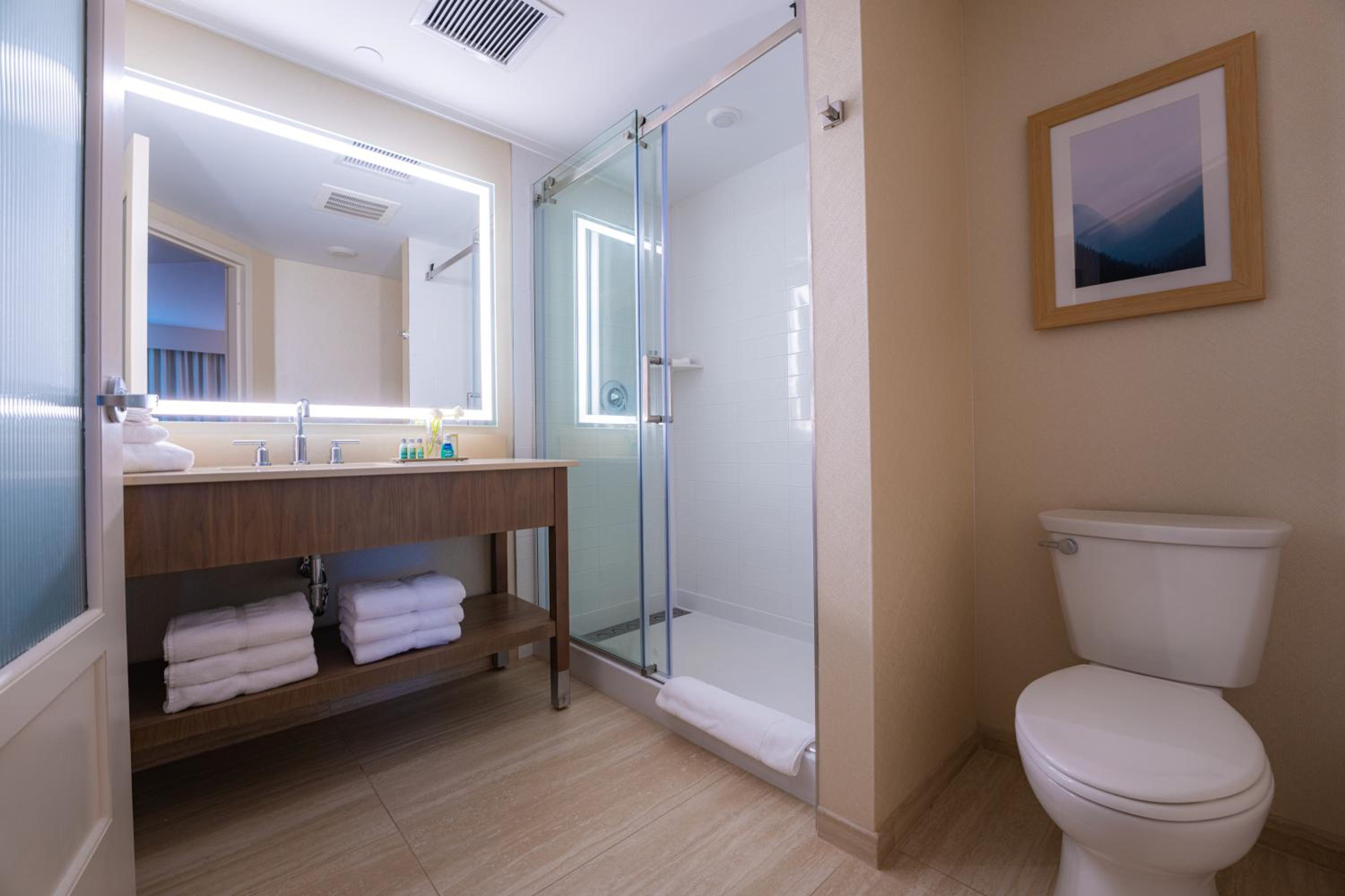 Deluxe King Suite photo 3