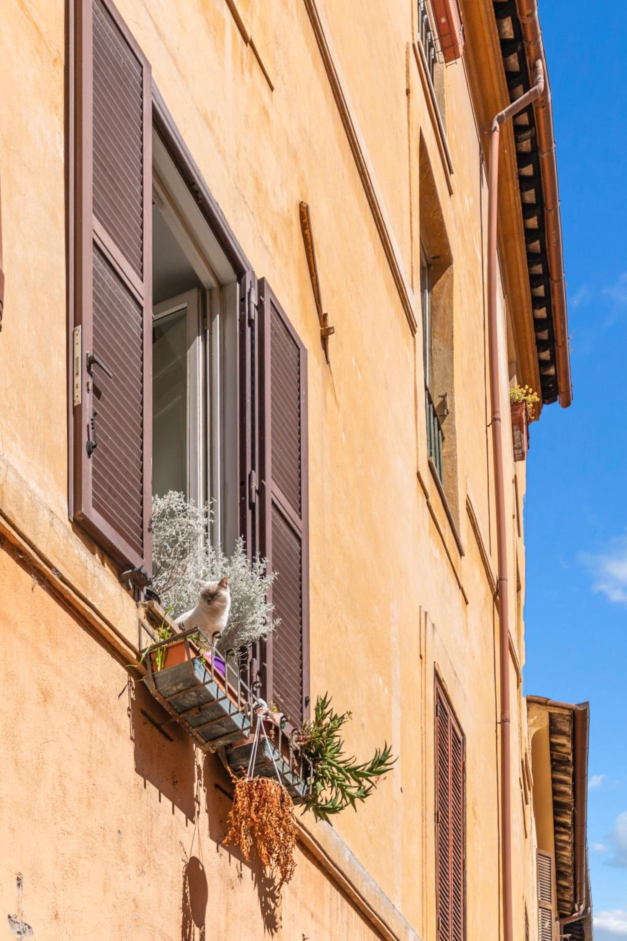 Two-Bedroom Apartment photo 2