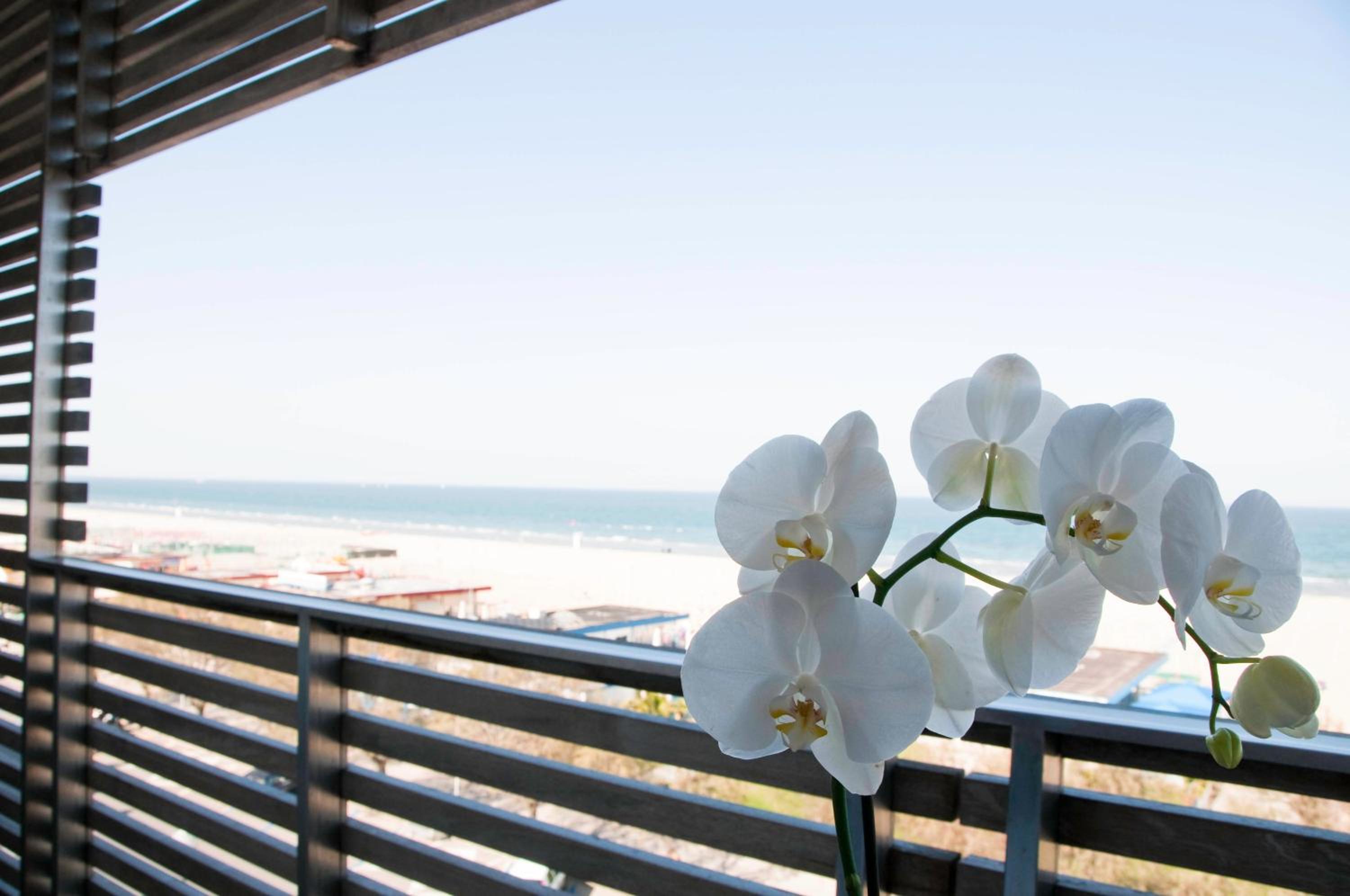 Double or Twin Room with Sea View - Photo 8