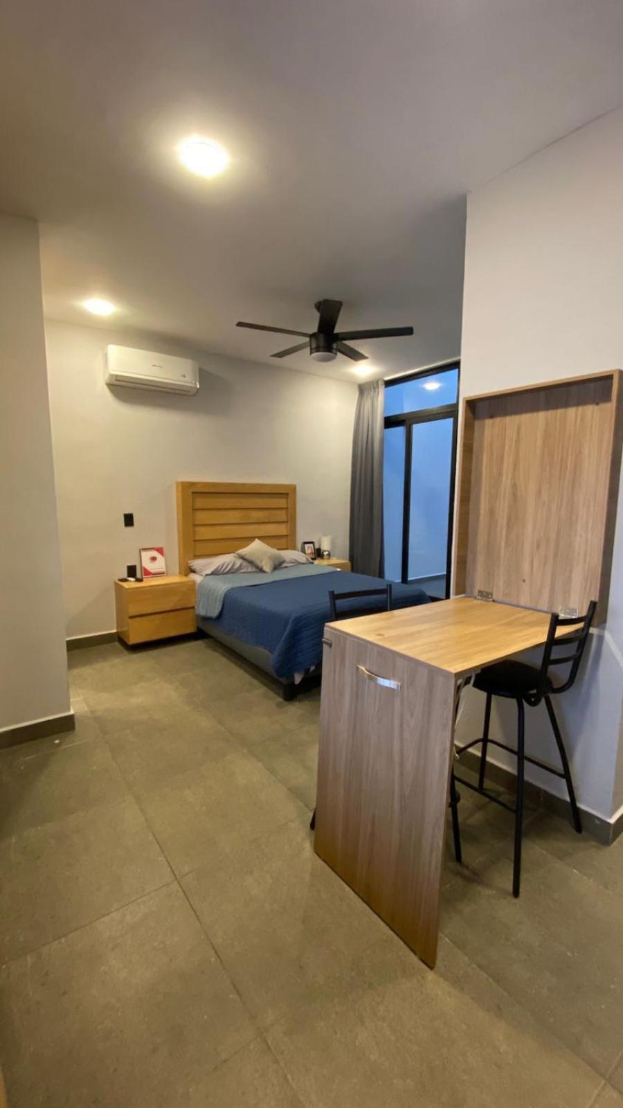 One-Bedroom Apartment photo 3