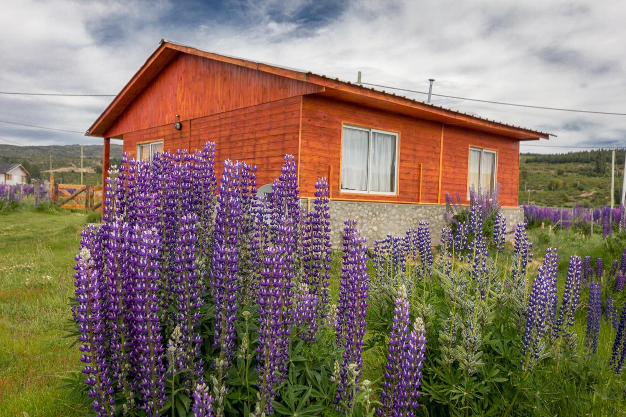 Bungalow photo 2