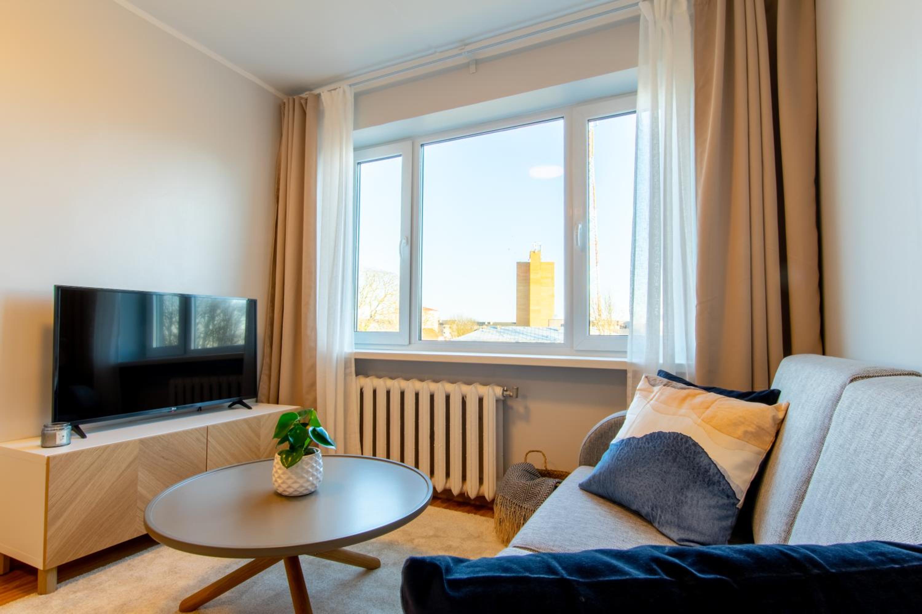 One-Bedroom Apartment photo 2