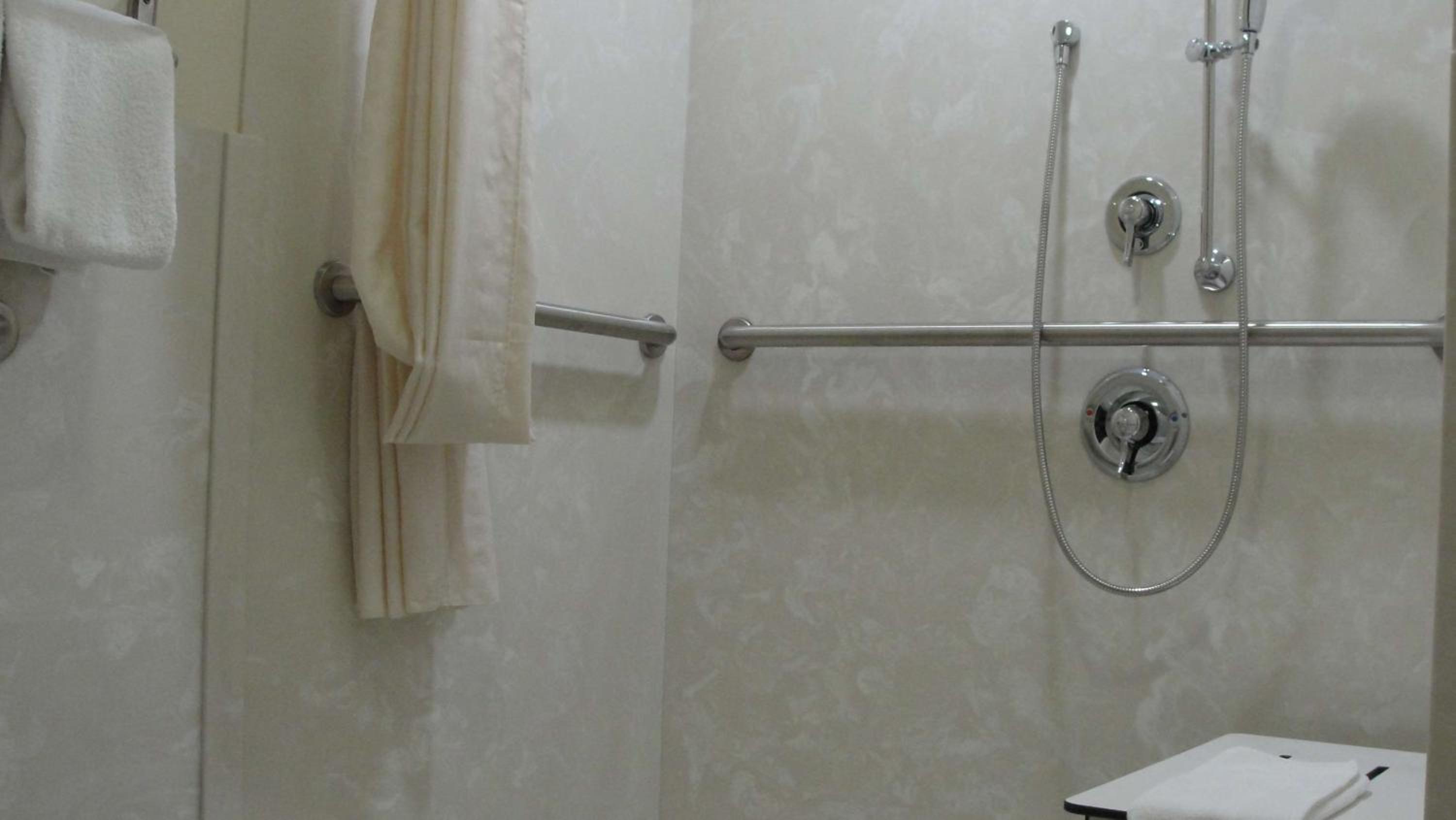 Queen Room with Roll-In Shower - Mobility Accessible/Non-Smoking - Photo 5