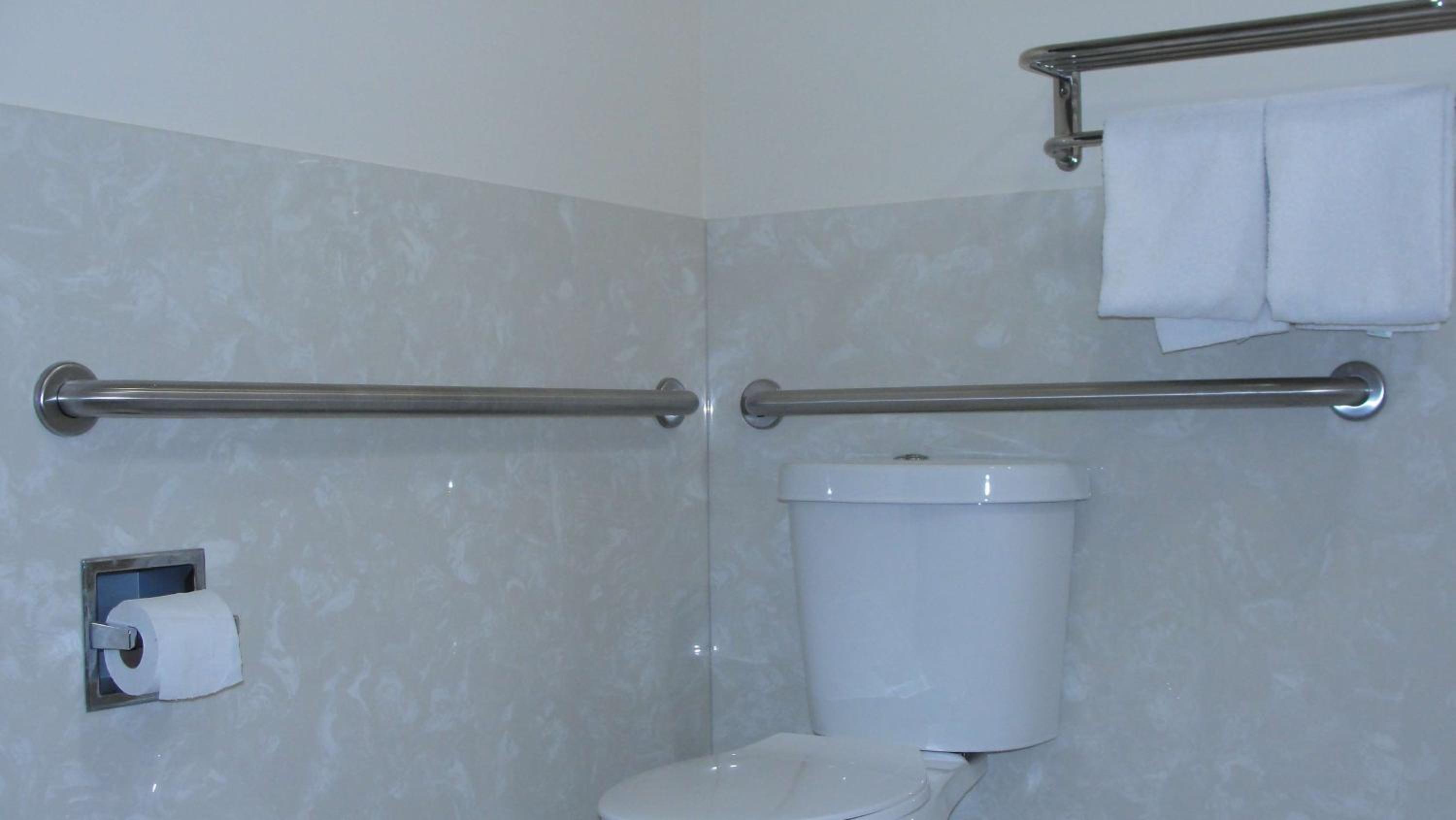 Queen Room with Roll-In Shower - Mobility Accessible/Non-Smoking - Photo 7