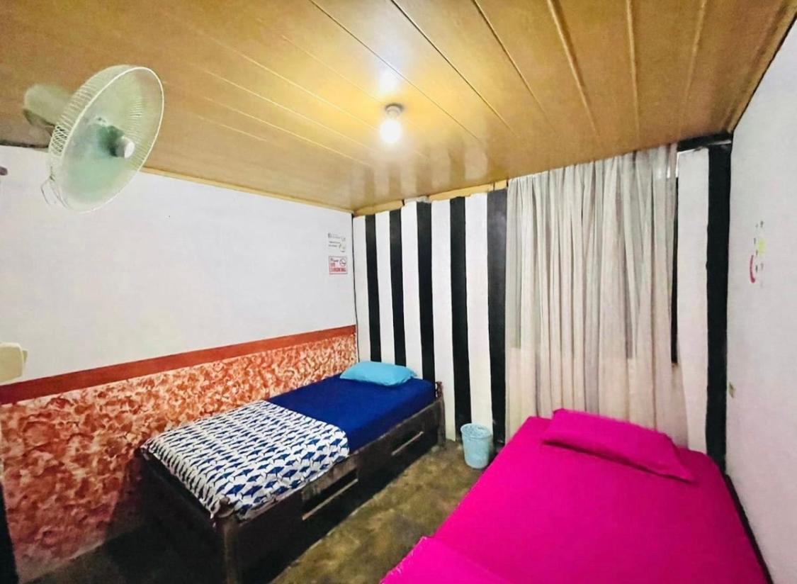 Twin Room photo 1