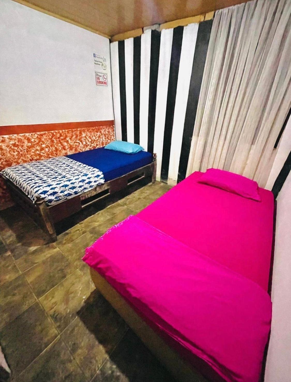 Twin Room photo 2