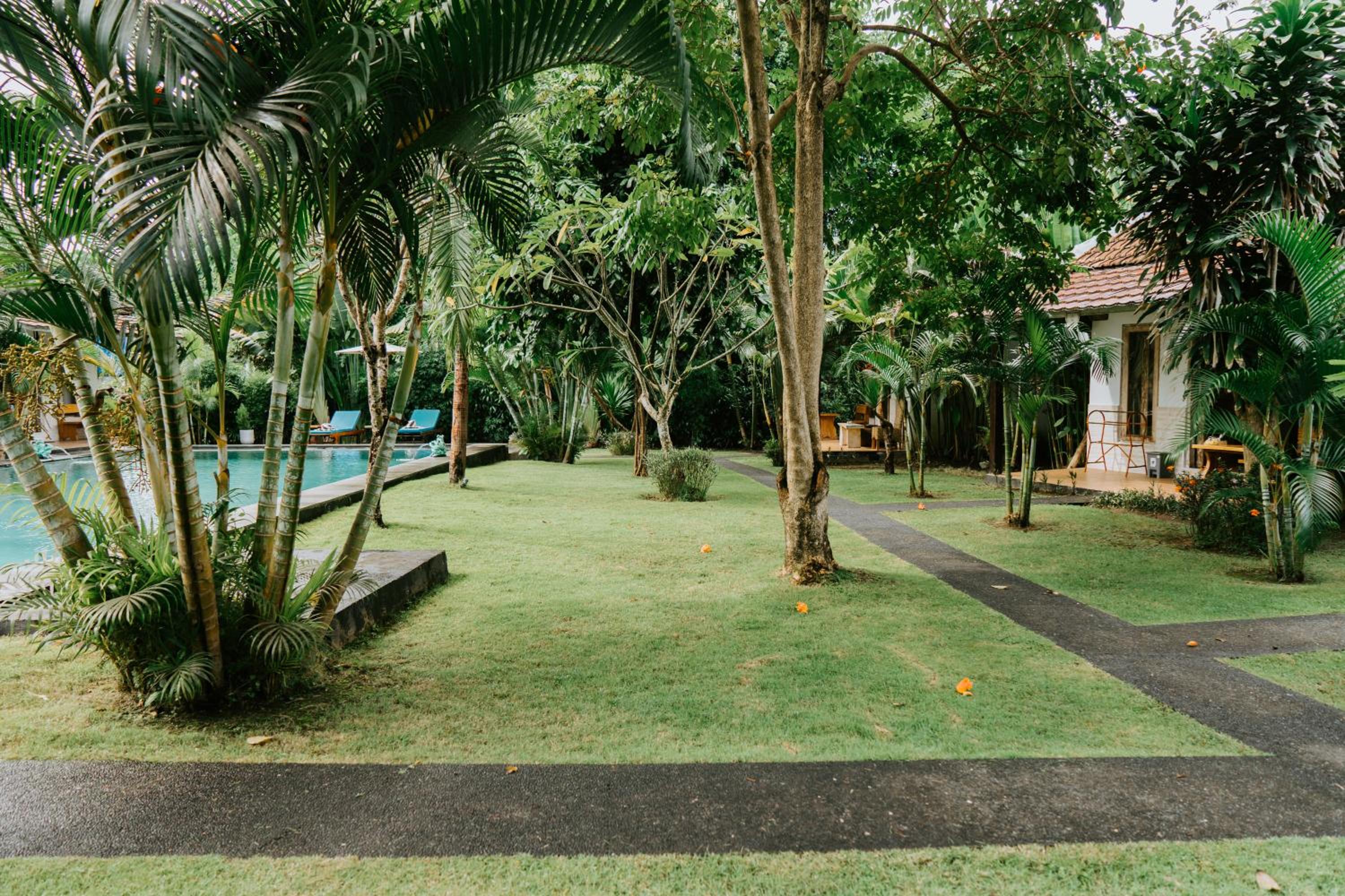 Deluxe Room with Pool View - Photo 31