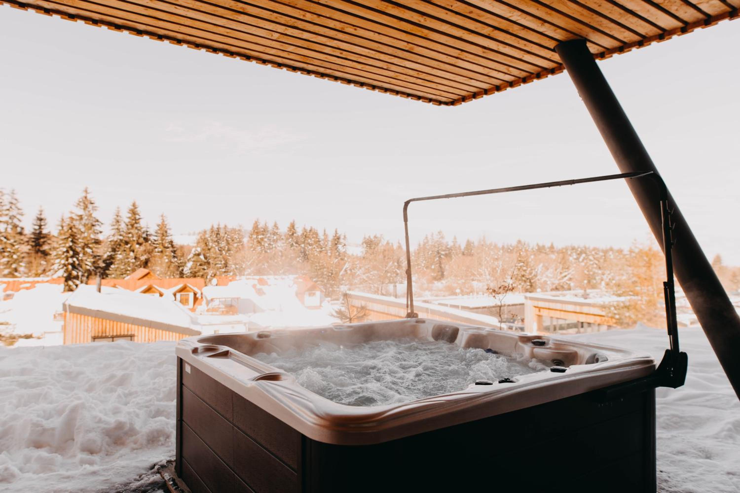 Four-Bedroom Chalet with Jacuzzi - Photo 32