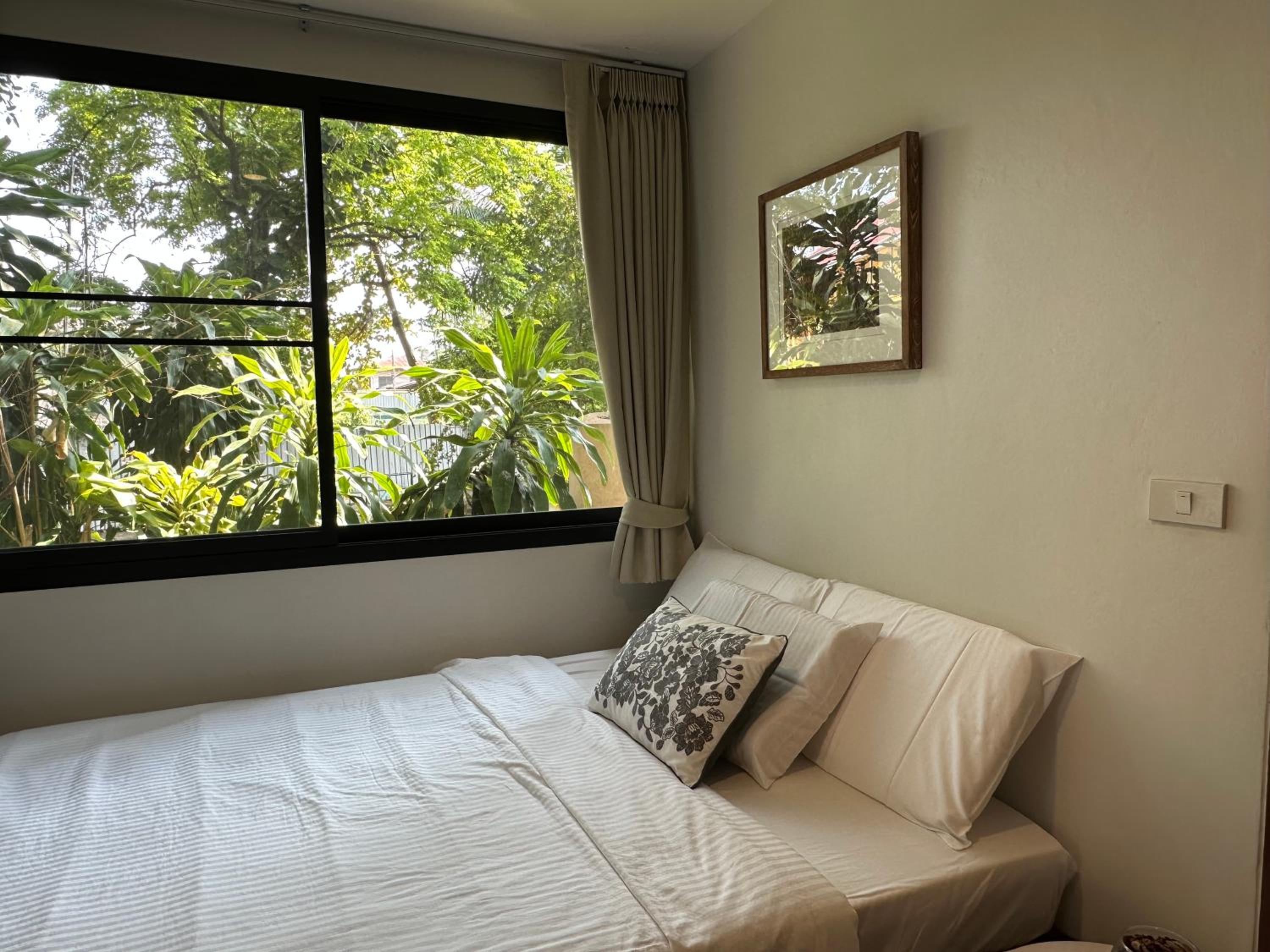 Studio with Garden View photo 1