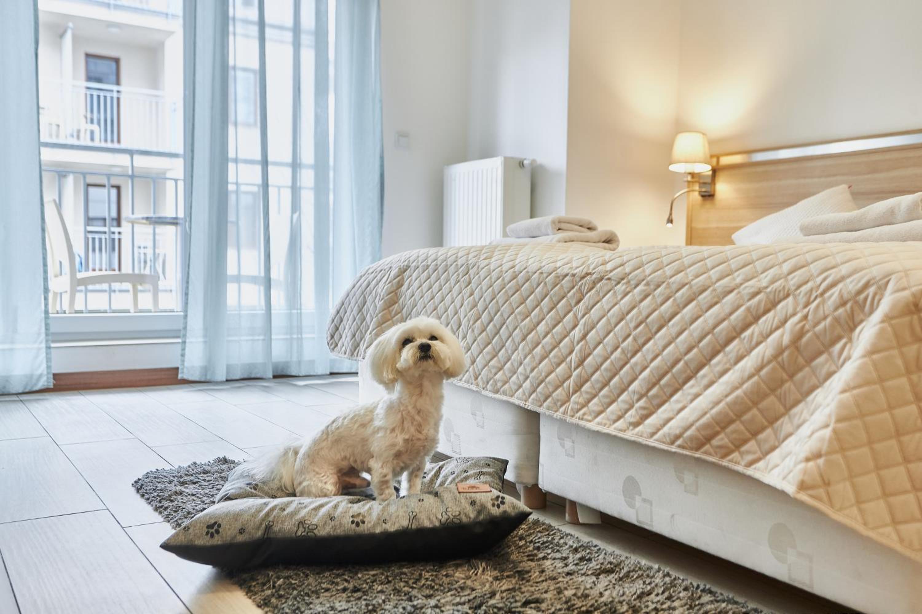 Deluxe Triple Room - Photo 7