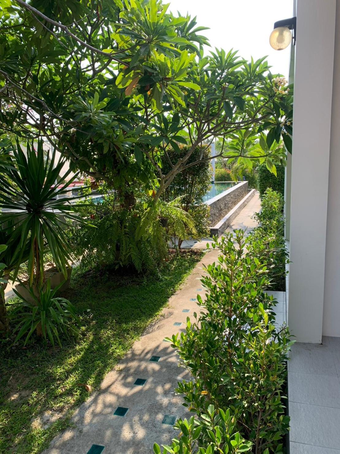 King Room with Garden View photo 2